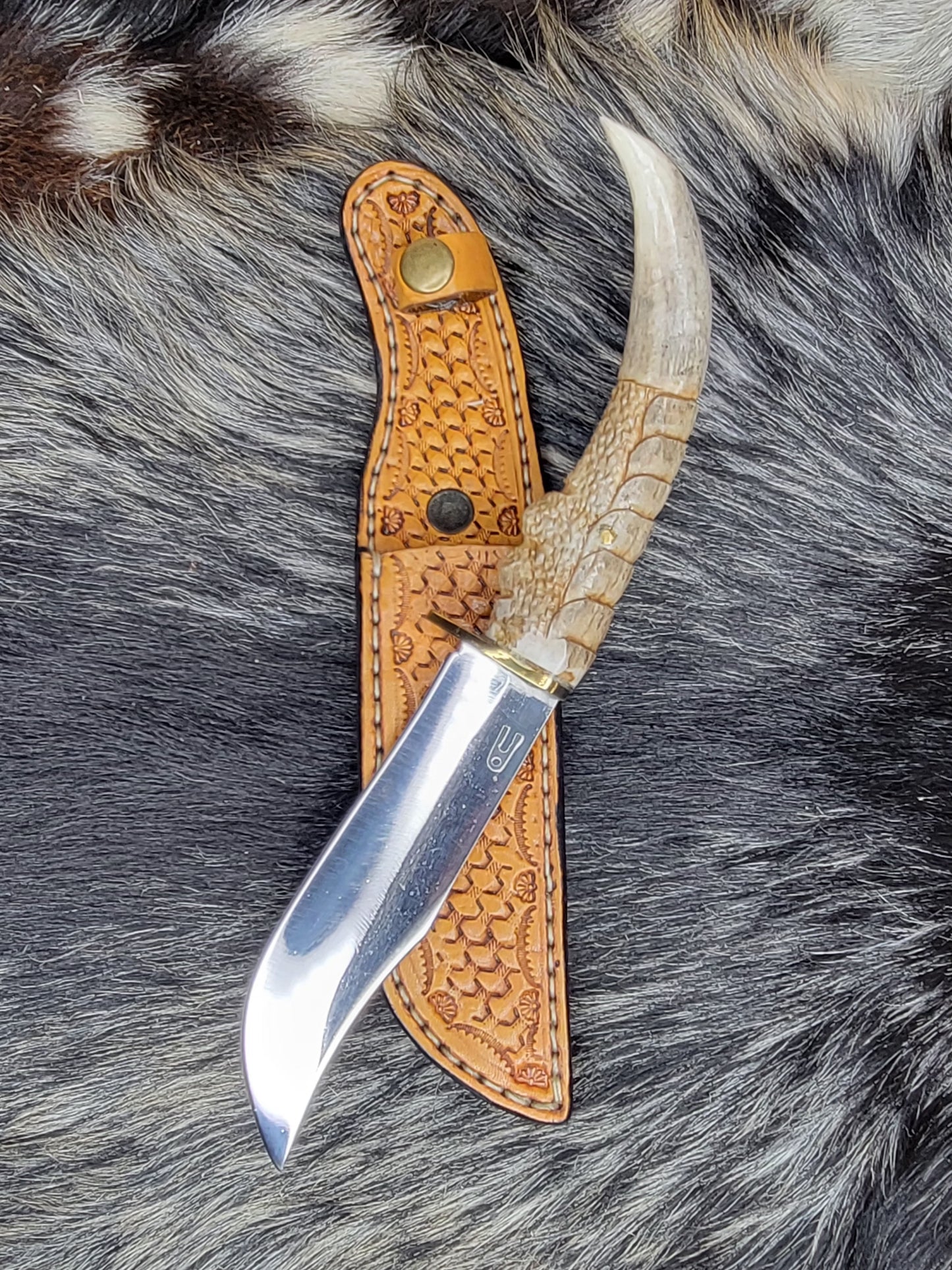 Cuchillos Garra De Aguila