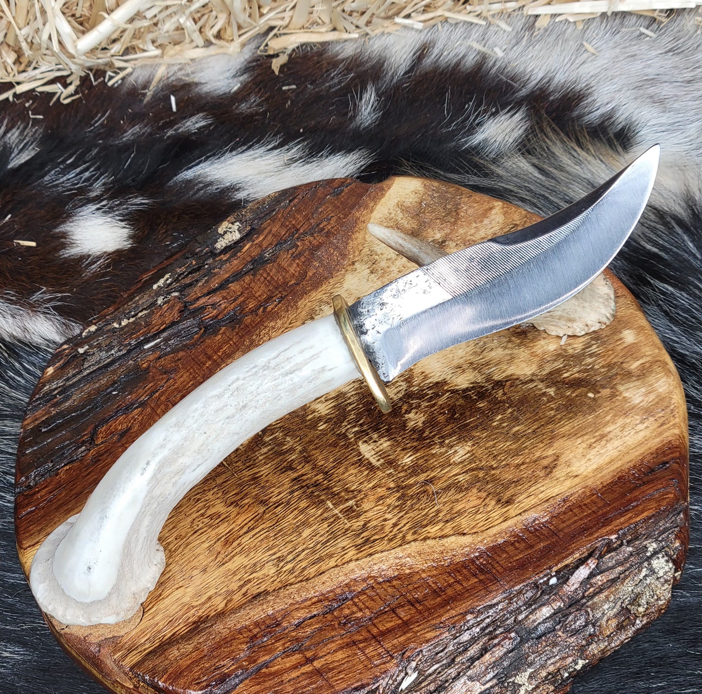 Cuchillo Cuerno de Venado Con Roseta 5