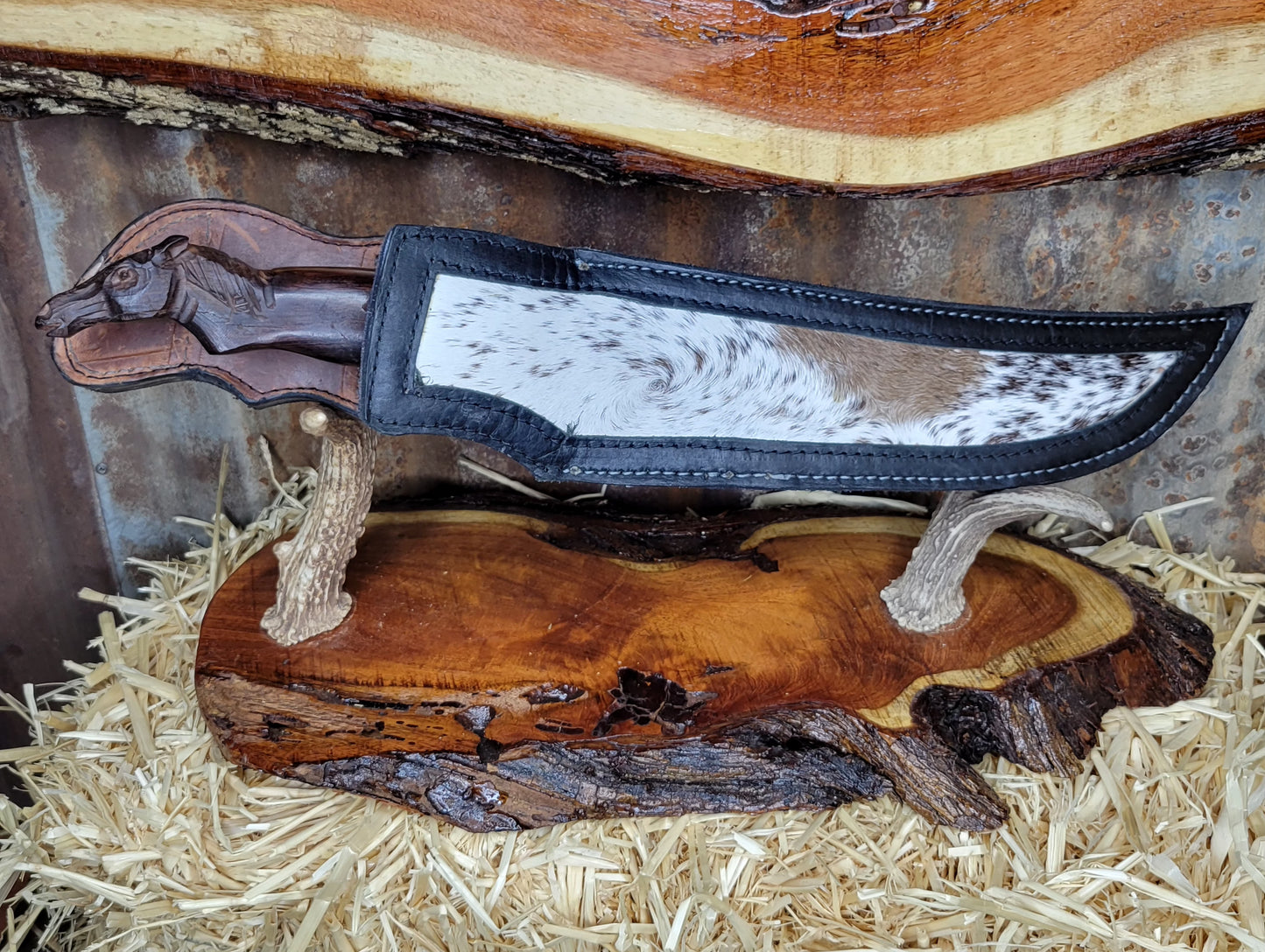 Filetero Caballo CK16