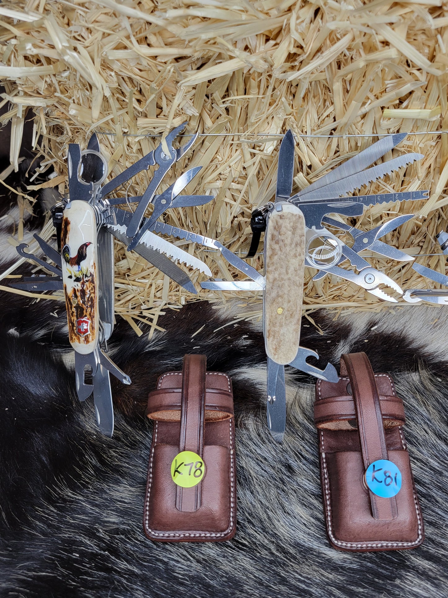 Navajas Multi-herramientas Victorinox