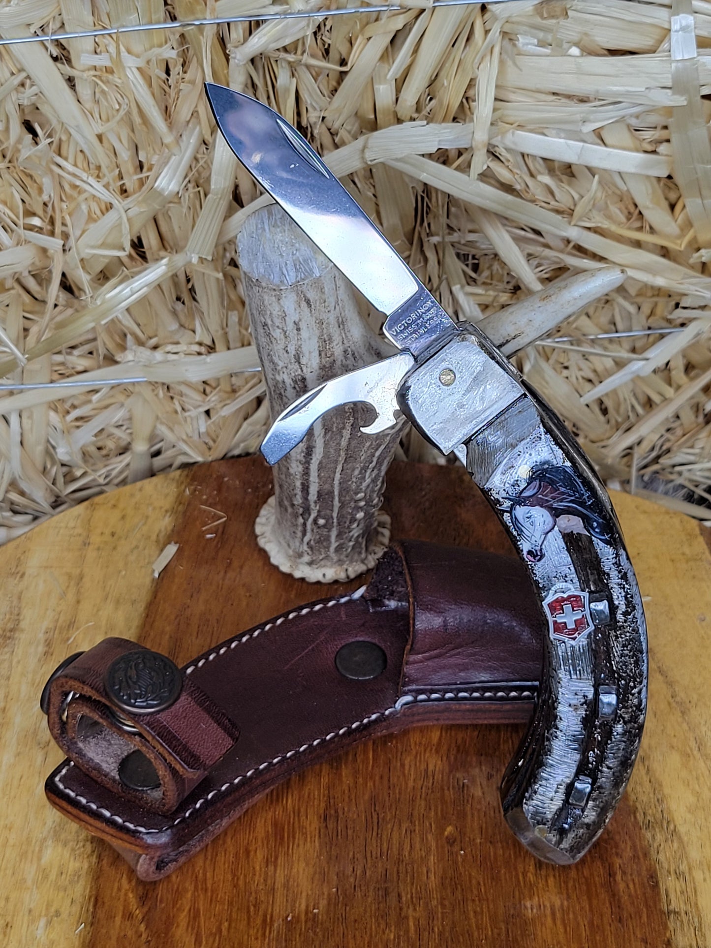 Navajas Victorinox Herradura