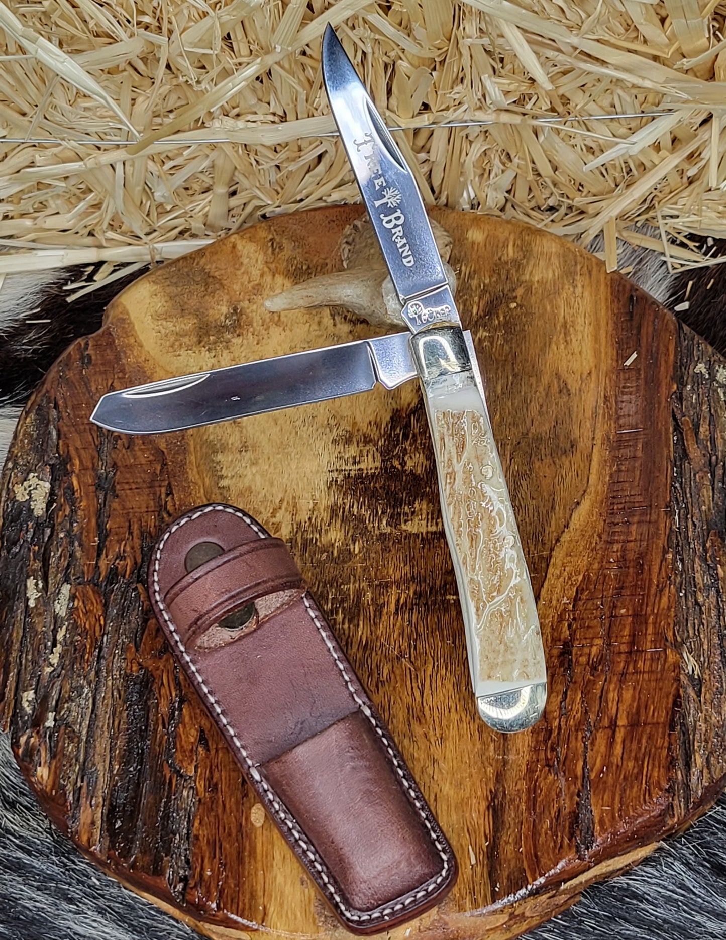 Navaja Del Arbolito K73
