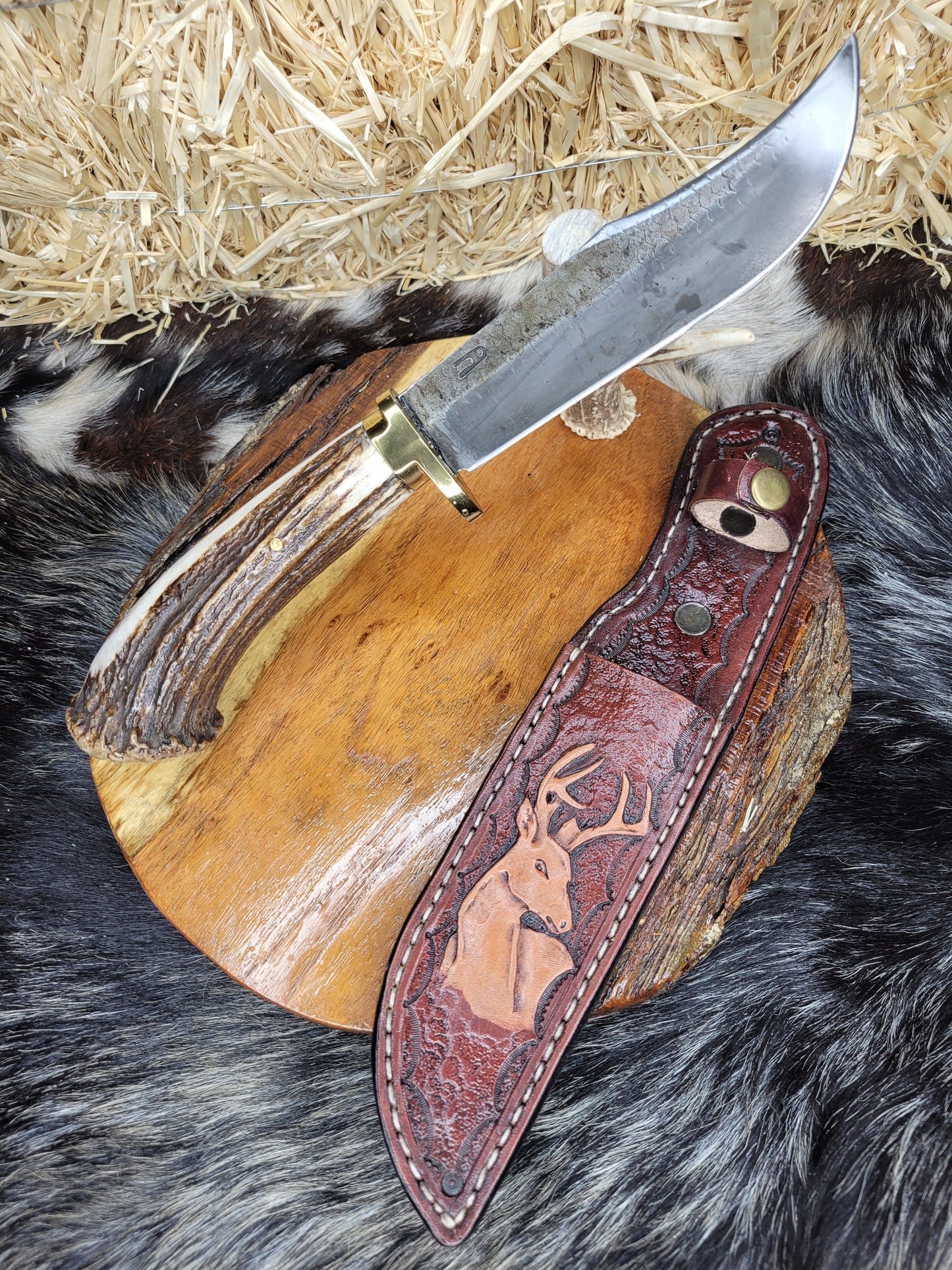 Cuchillo Escofina Roseta Cuerno de venado 2