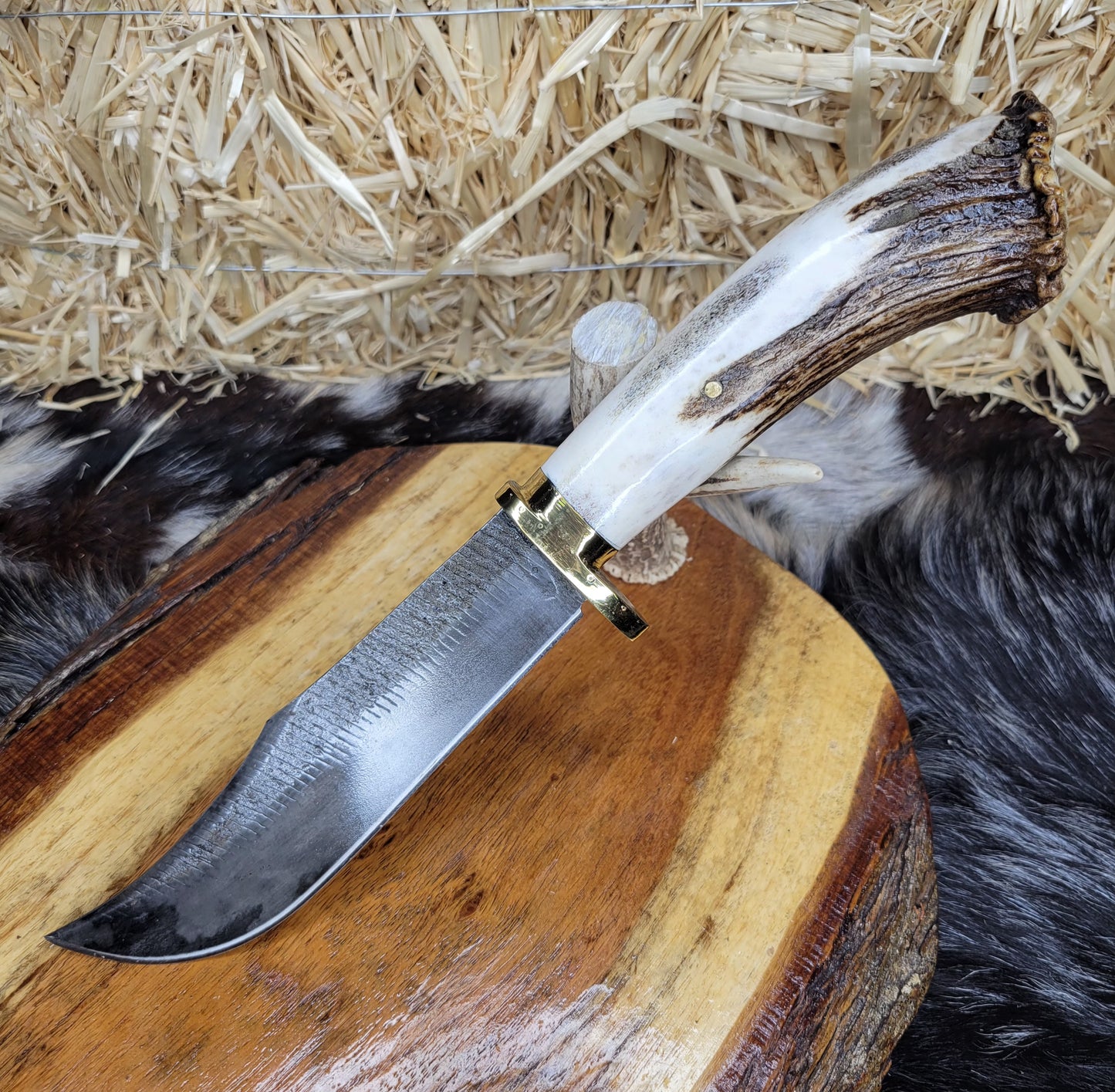 Cuchillo Escofina Roseta Cuerno de venado 2