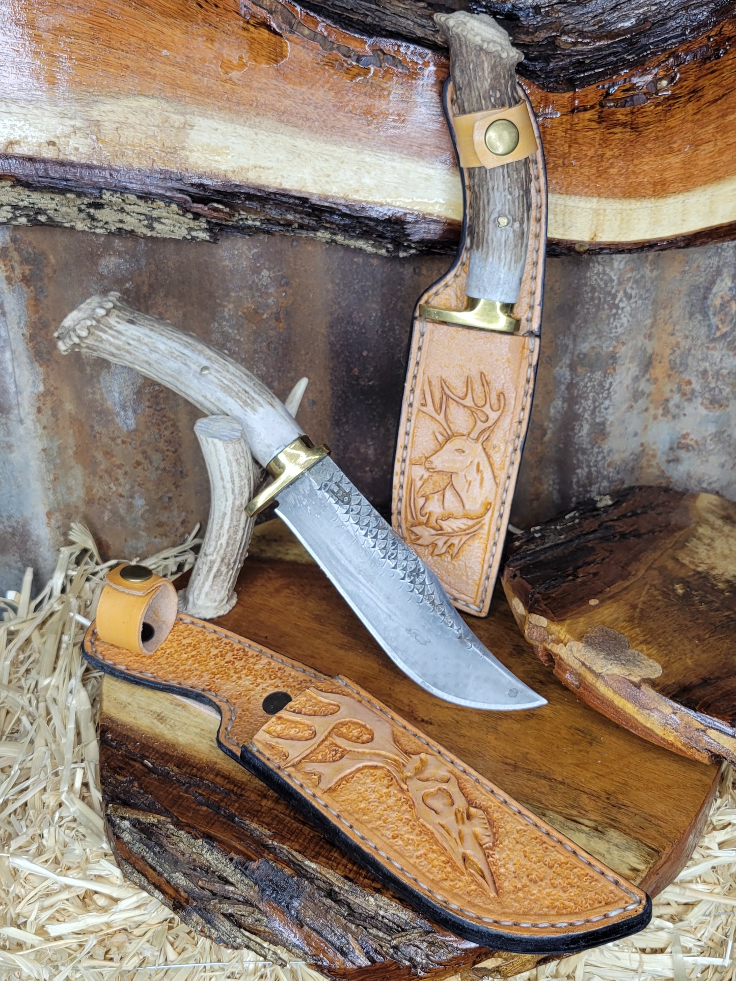 Cuchillos Escofina Roseta Cuerno De Venado