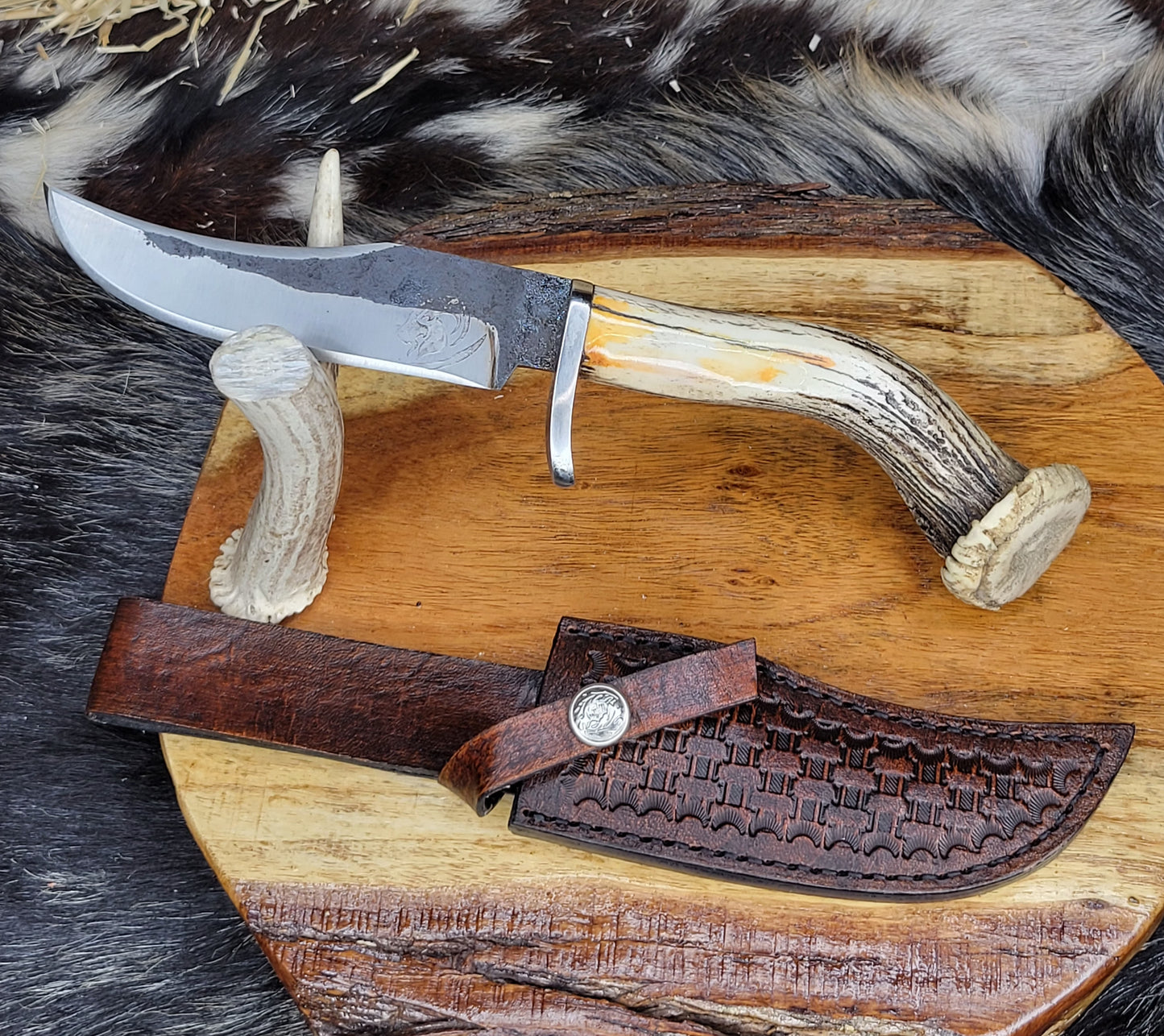Cuchillo Roseta Cuerno De Venado 7
