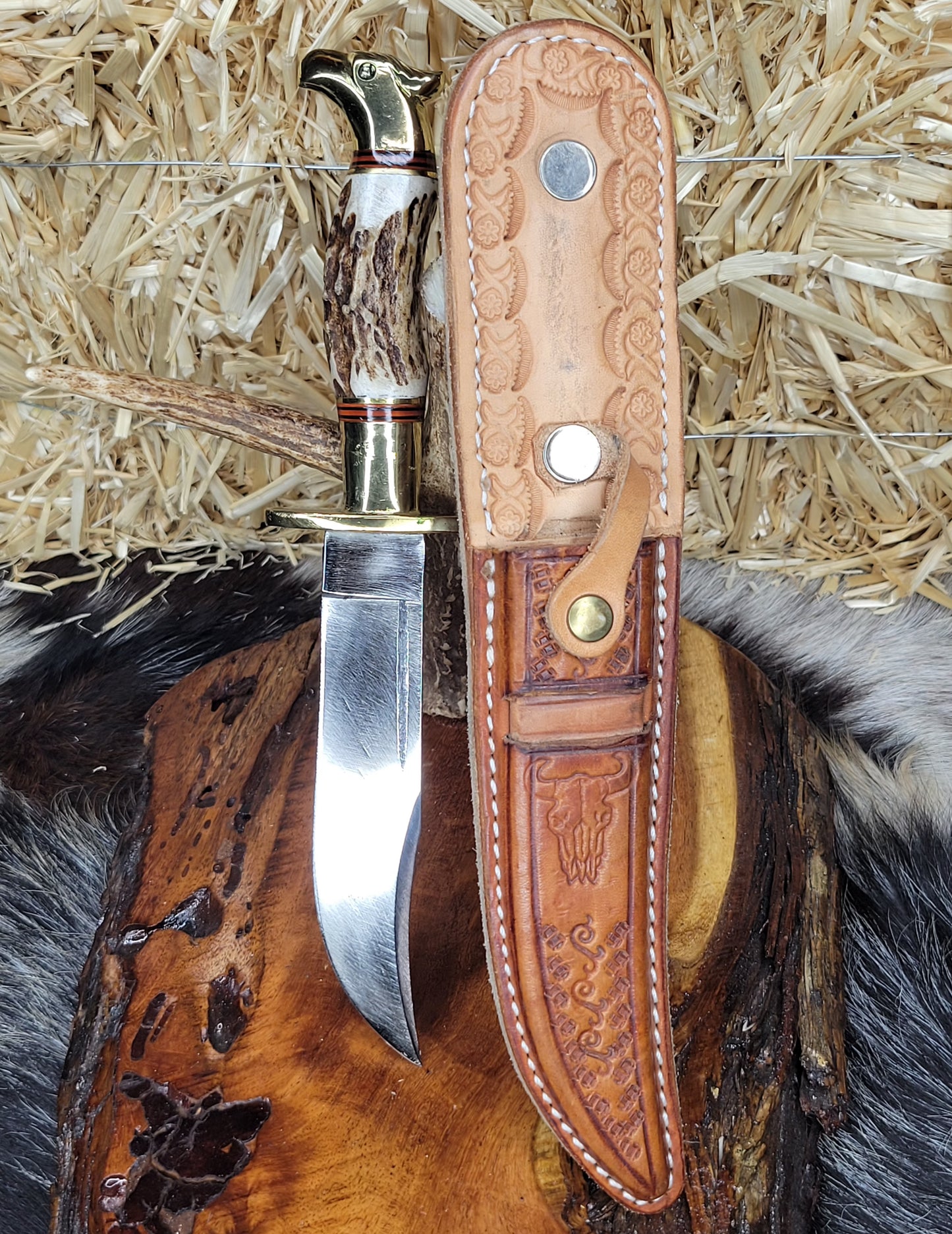 Cuchillo Aguila Cuerno De Venado 15