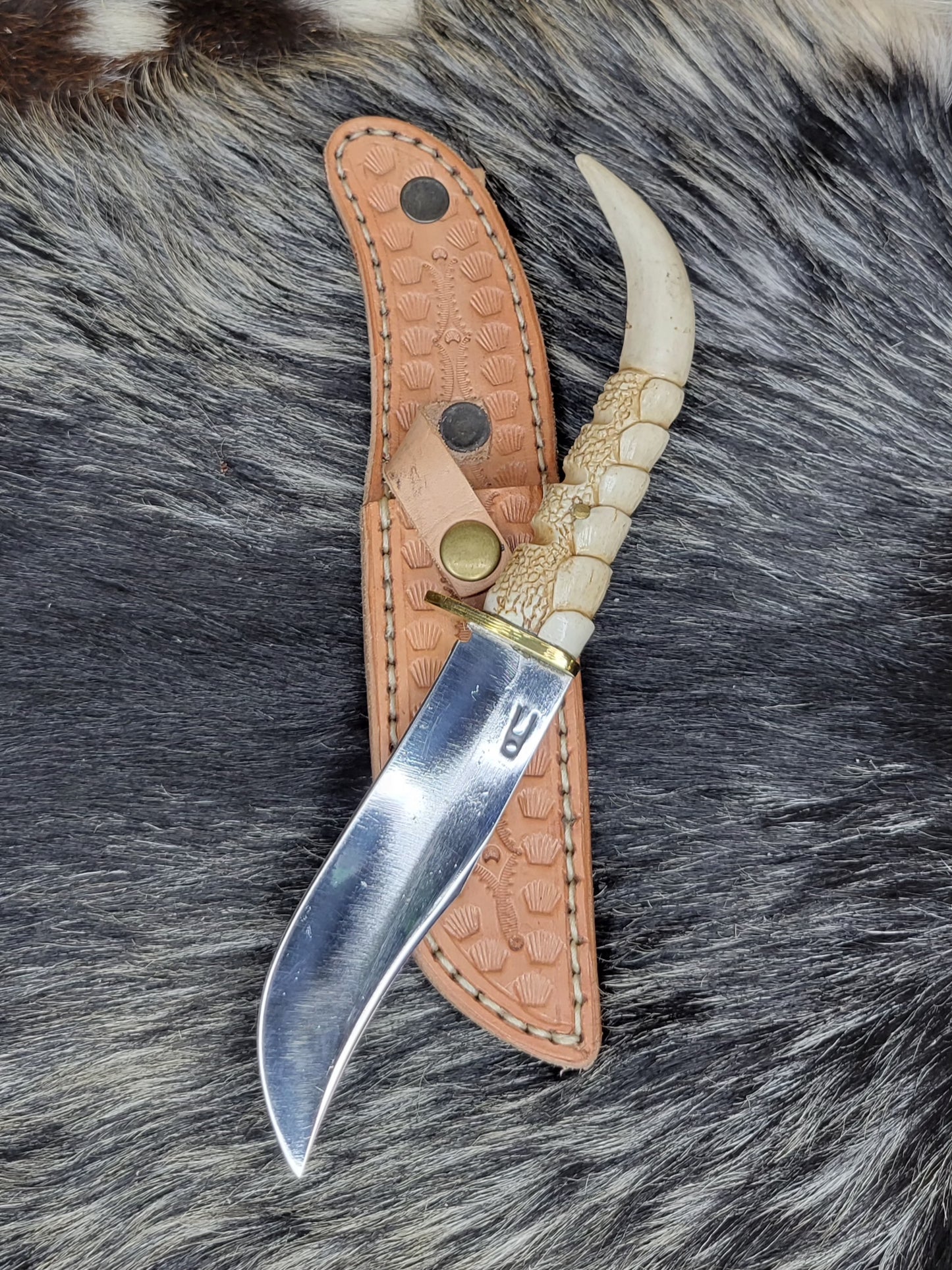 Cuchillos Garra De Aguila