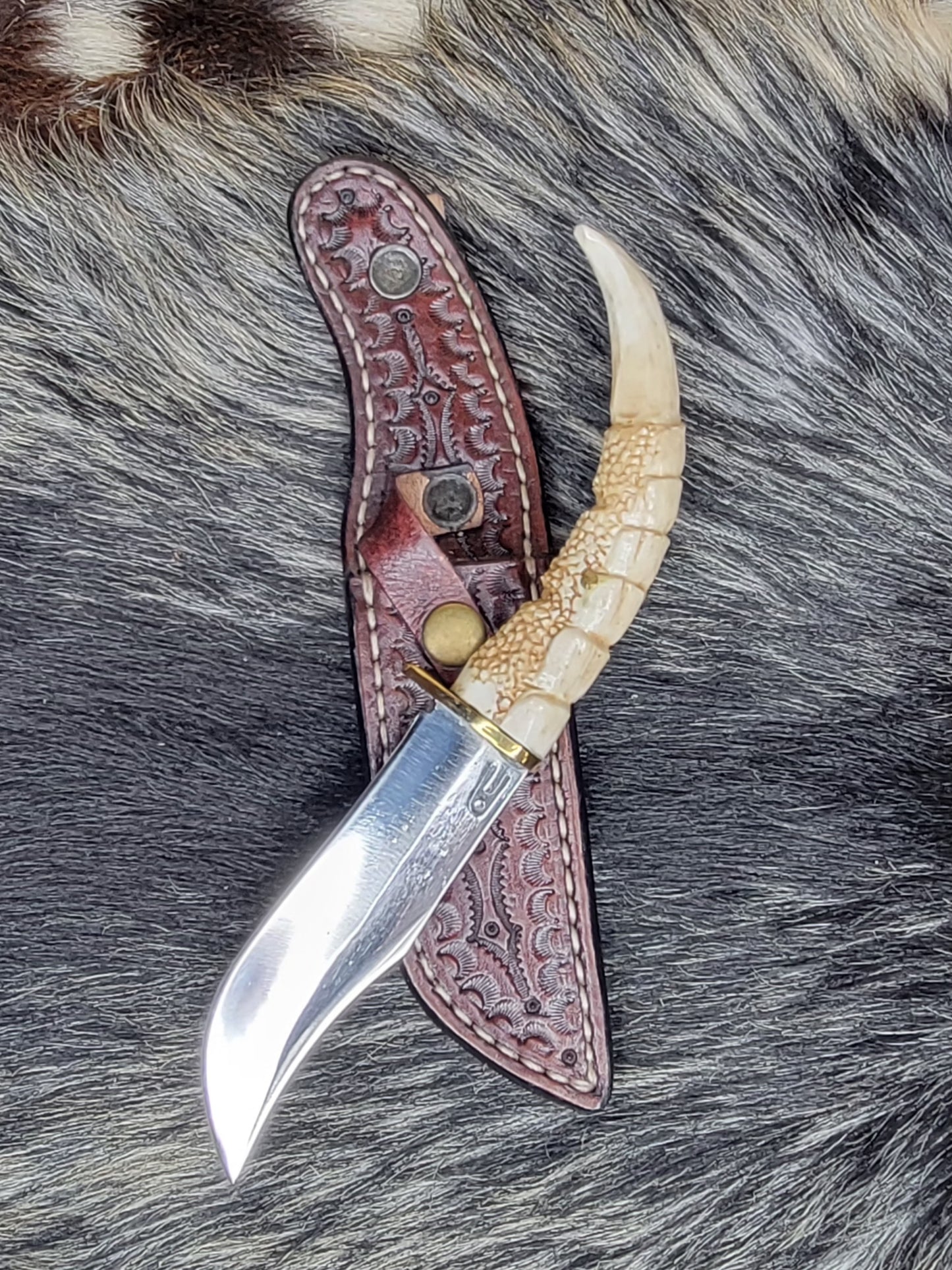 Cuchillos Garra De Aguila