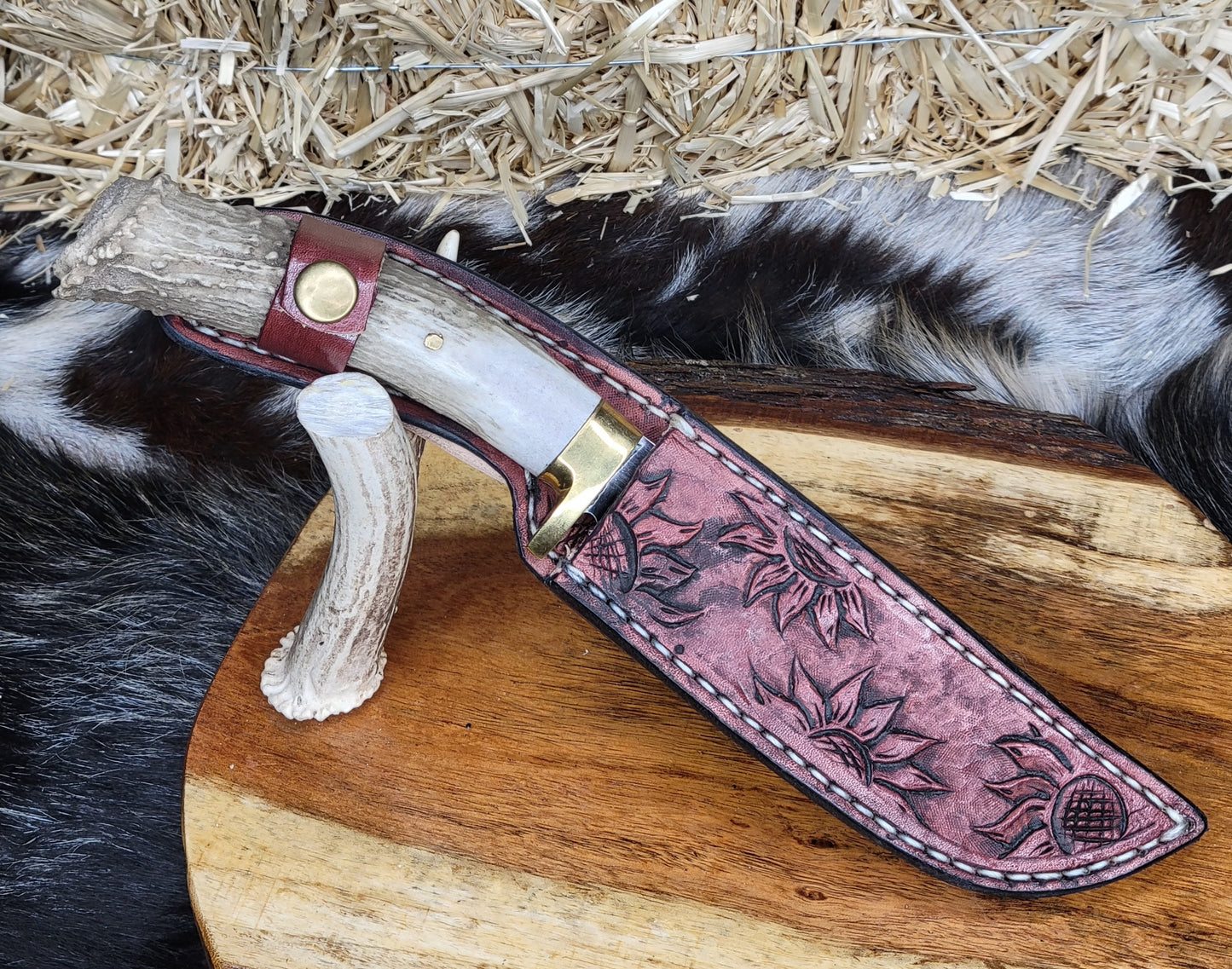Cuchillo Cuerno De Venado Con Roseta 34