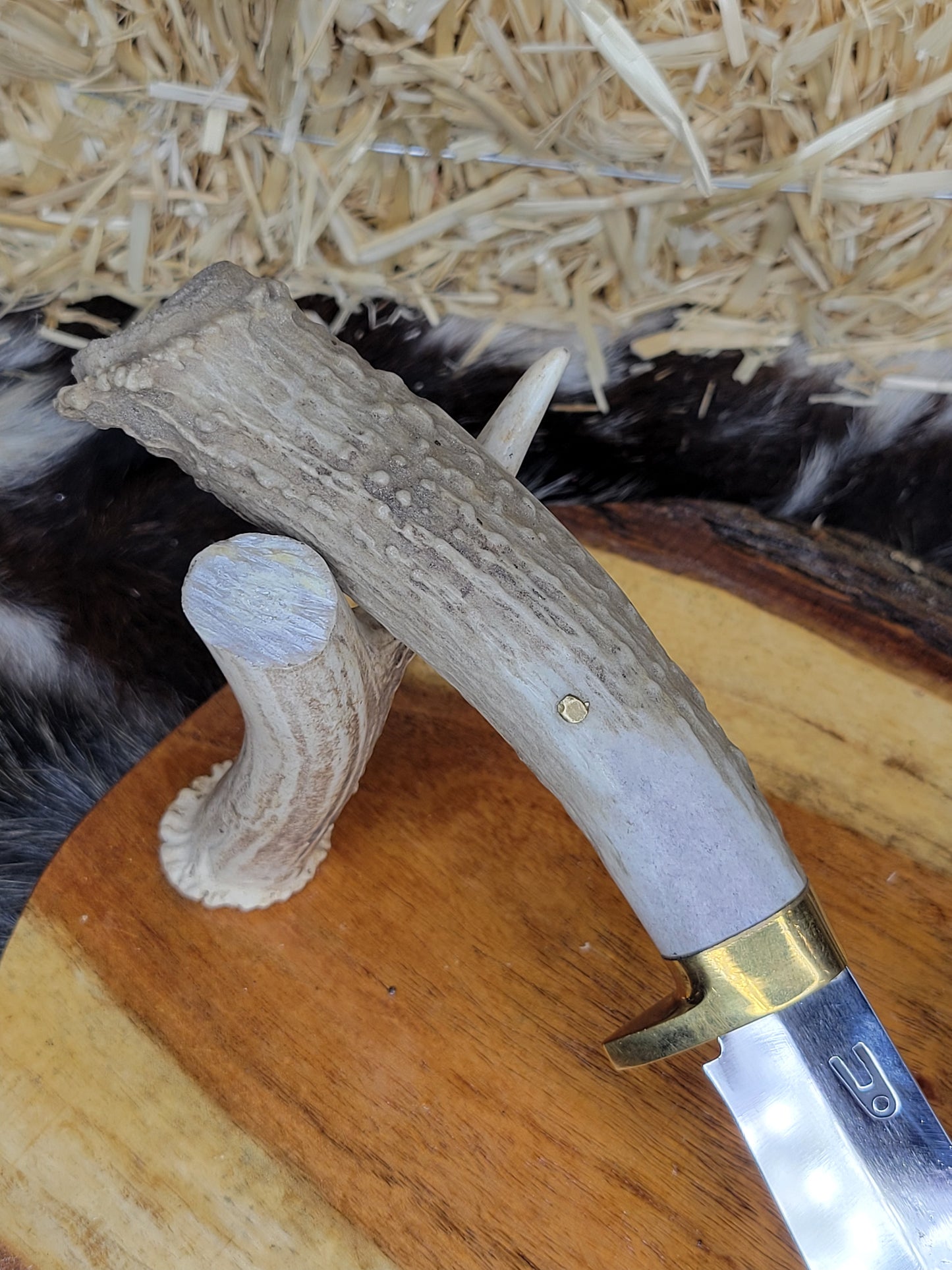 Cuchillo Cuerno De Venado Con Roseta 34