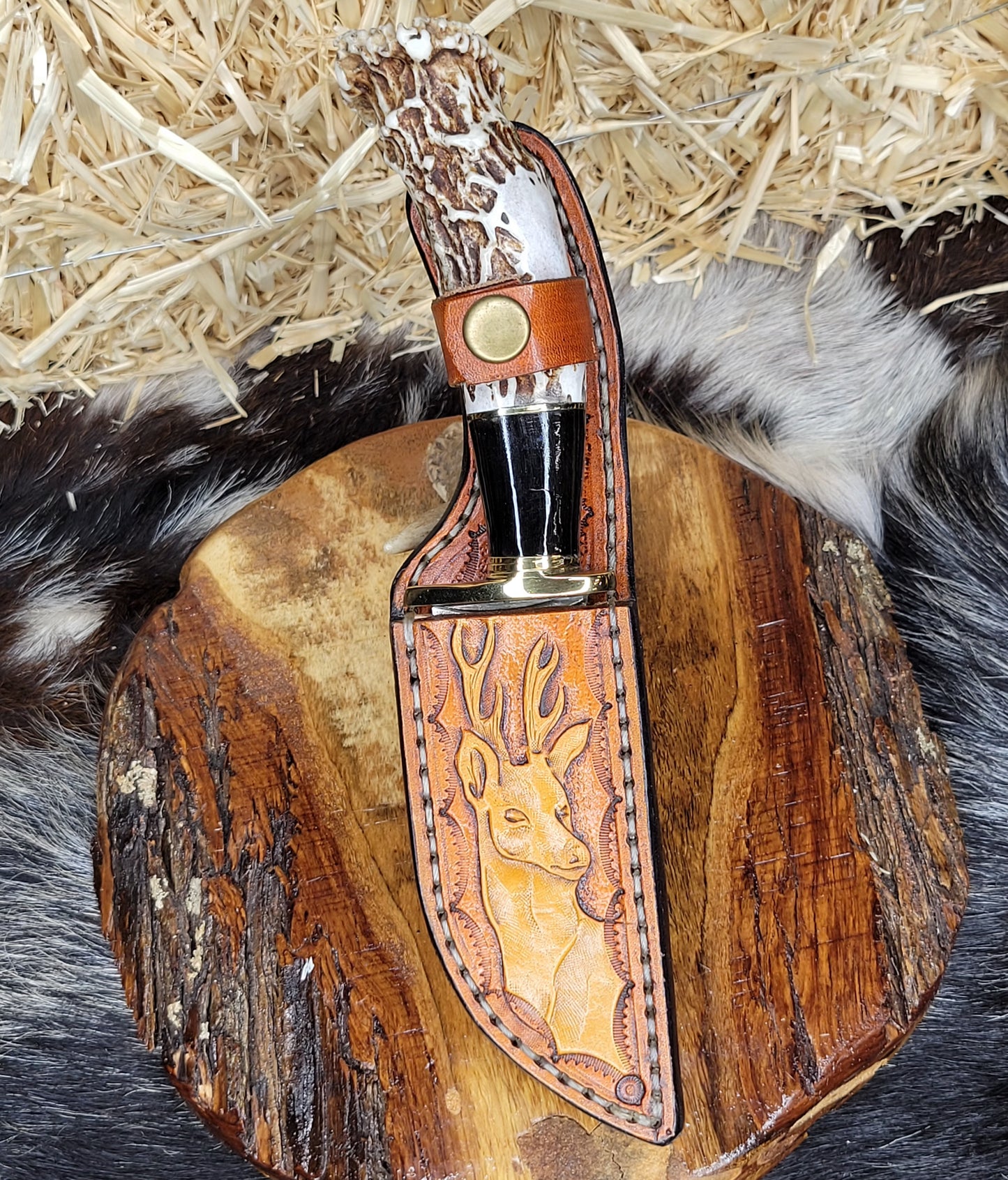 Cuchillo Cuerno De Venado Combinación En Cuerno De Toro 37
