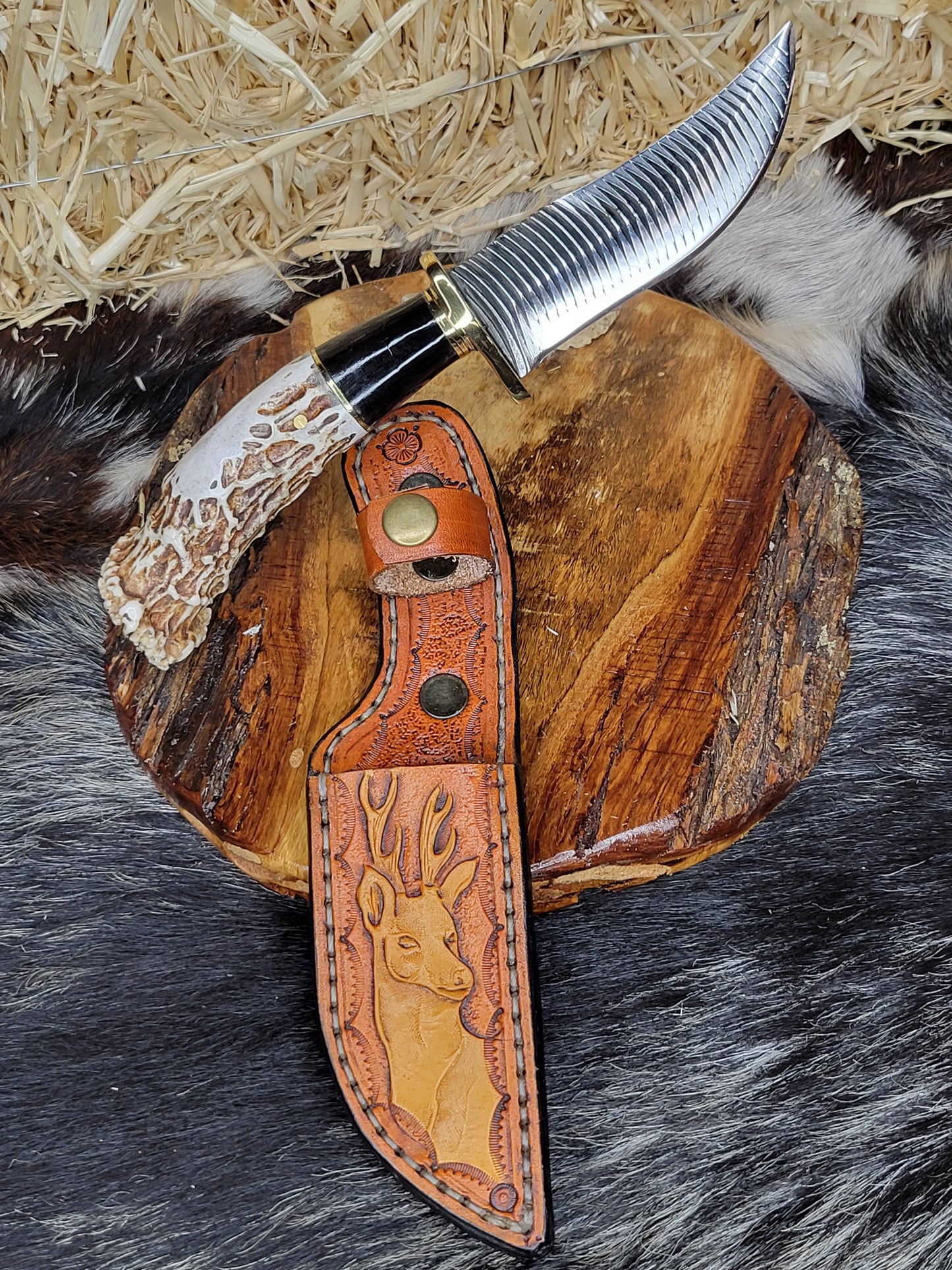Cuchillo Cuerno De Venado Combinación En Cuerno De Toro 37