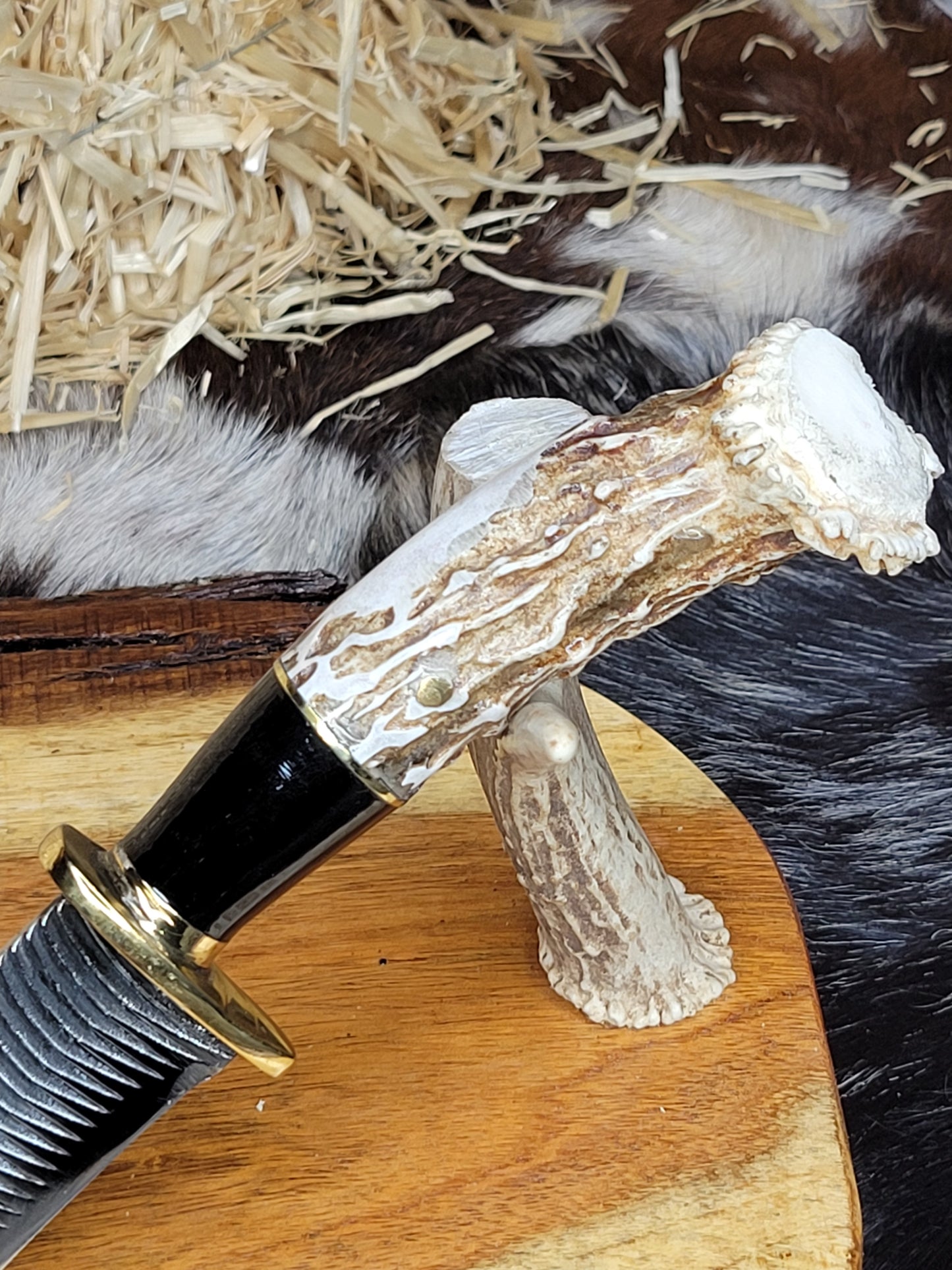 Cuchillo Cuerno De Venado Combinación En Cuerno De Toro 37