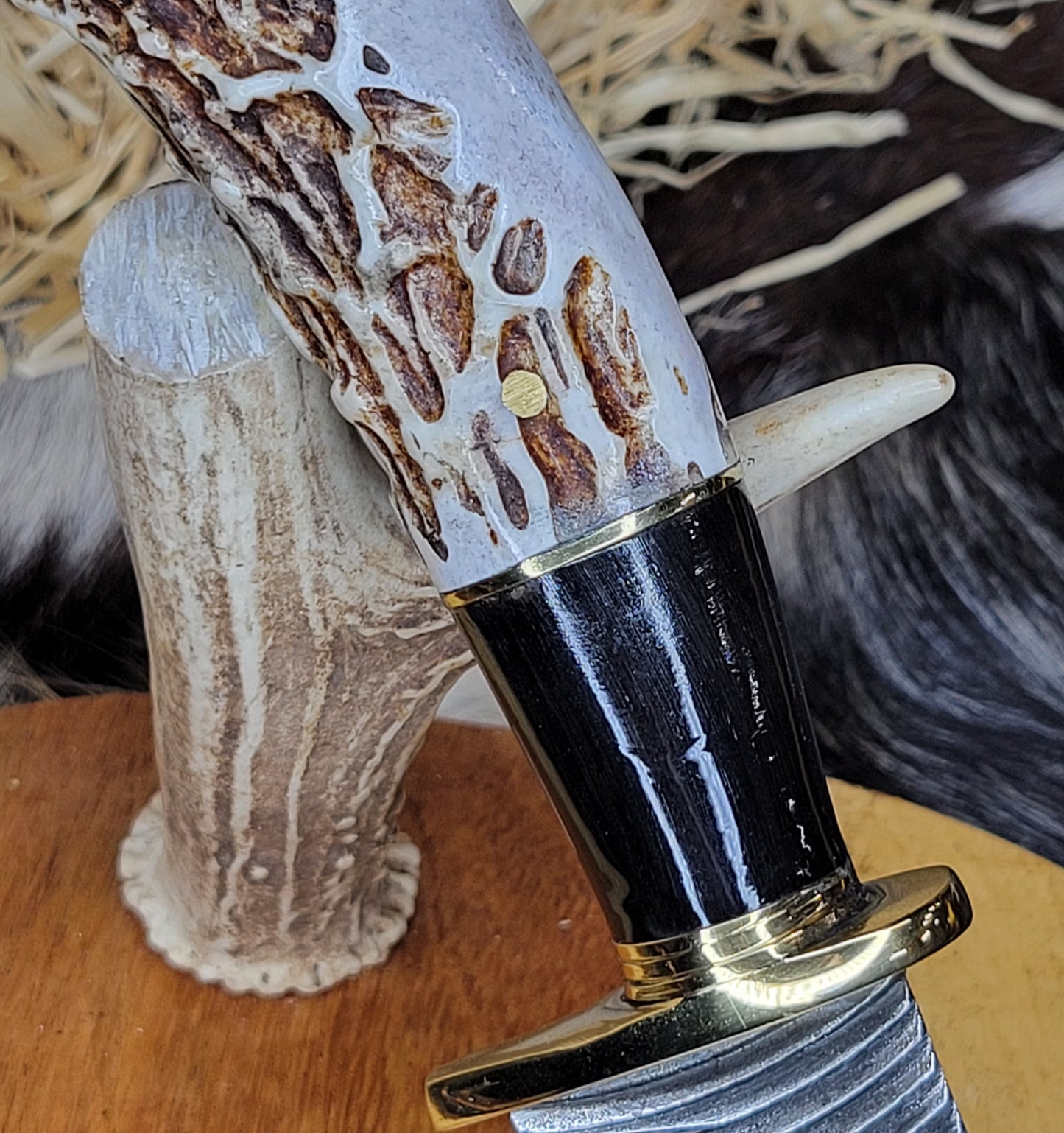 Cuchillo Cuerno De Venado Combinación En Cuerno De Toro 37