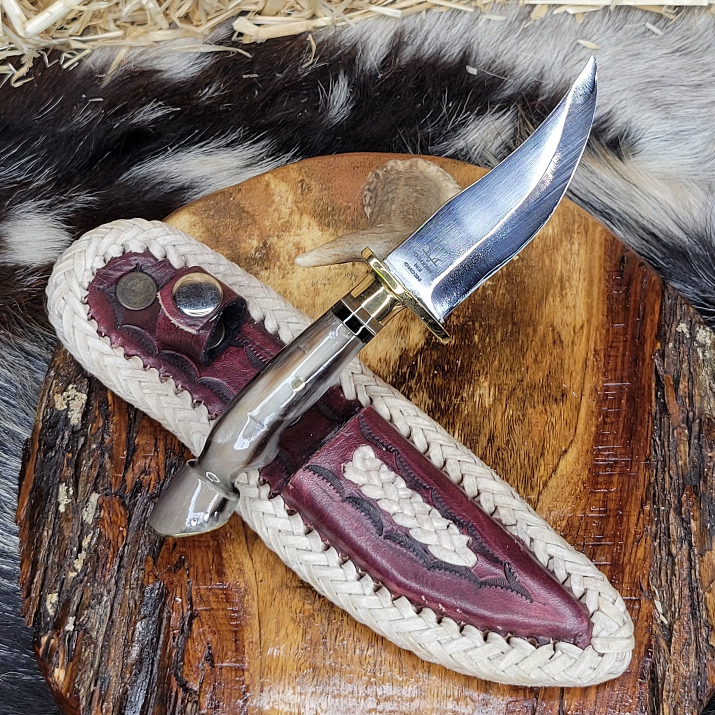 Cuchillos Patita de Caballo Cuerno de Toro