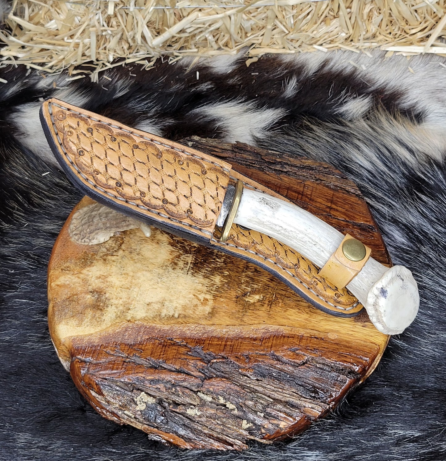 Cuchillo Cuerno de Venado Con Roseta 5