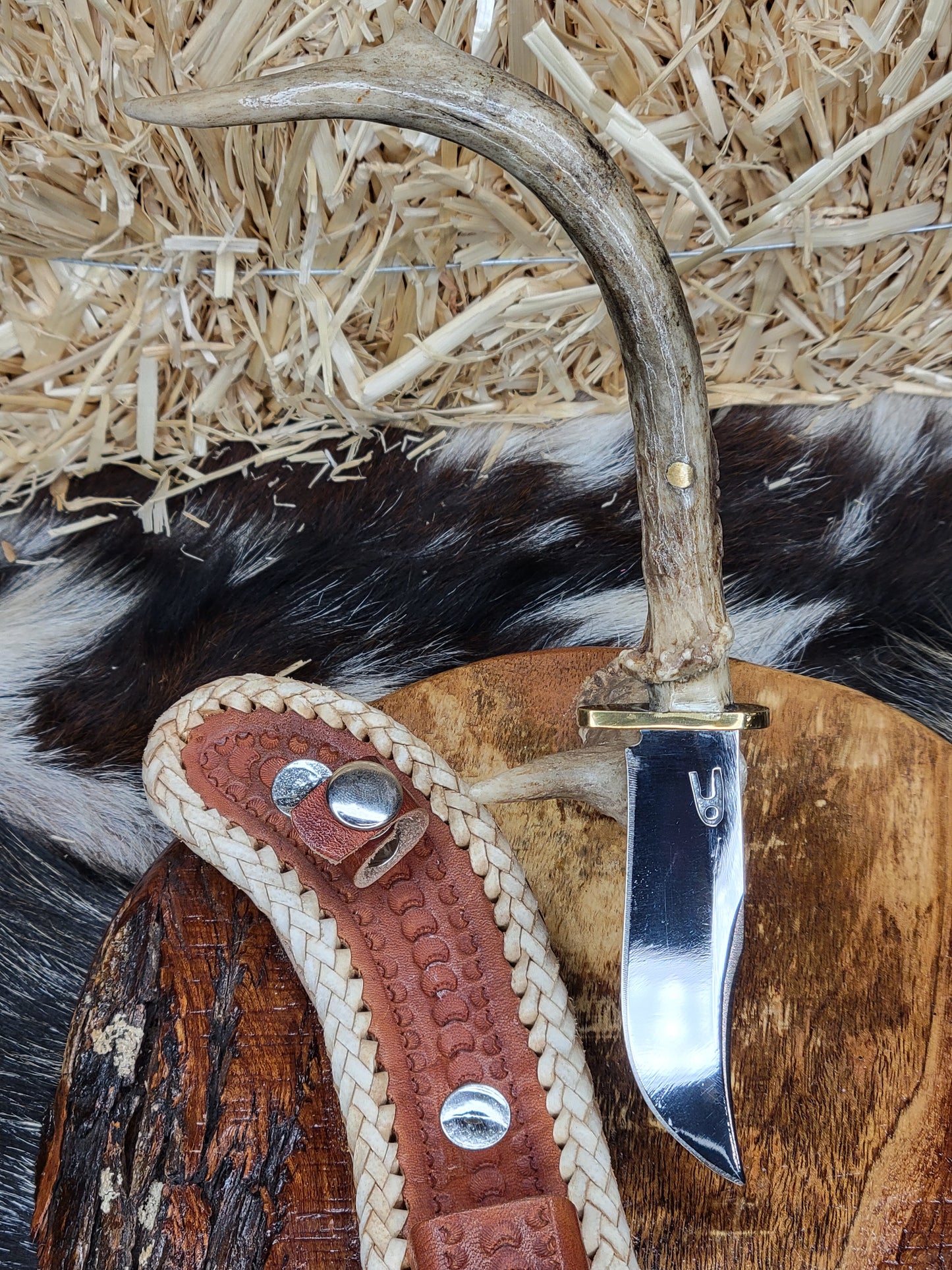 Cuchillo Punta Cuerno De Venado 76