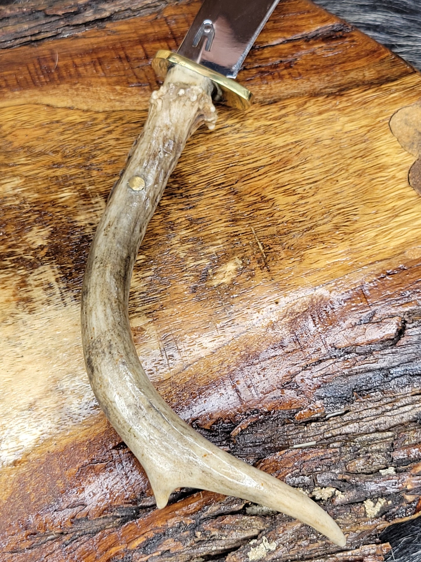 Cuchillo Punta Cuerno De Venado 76