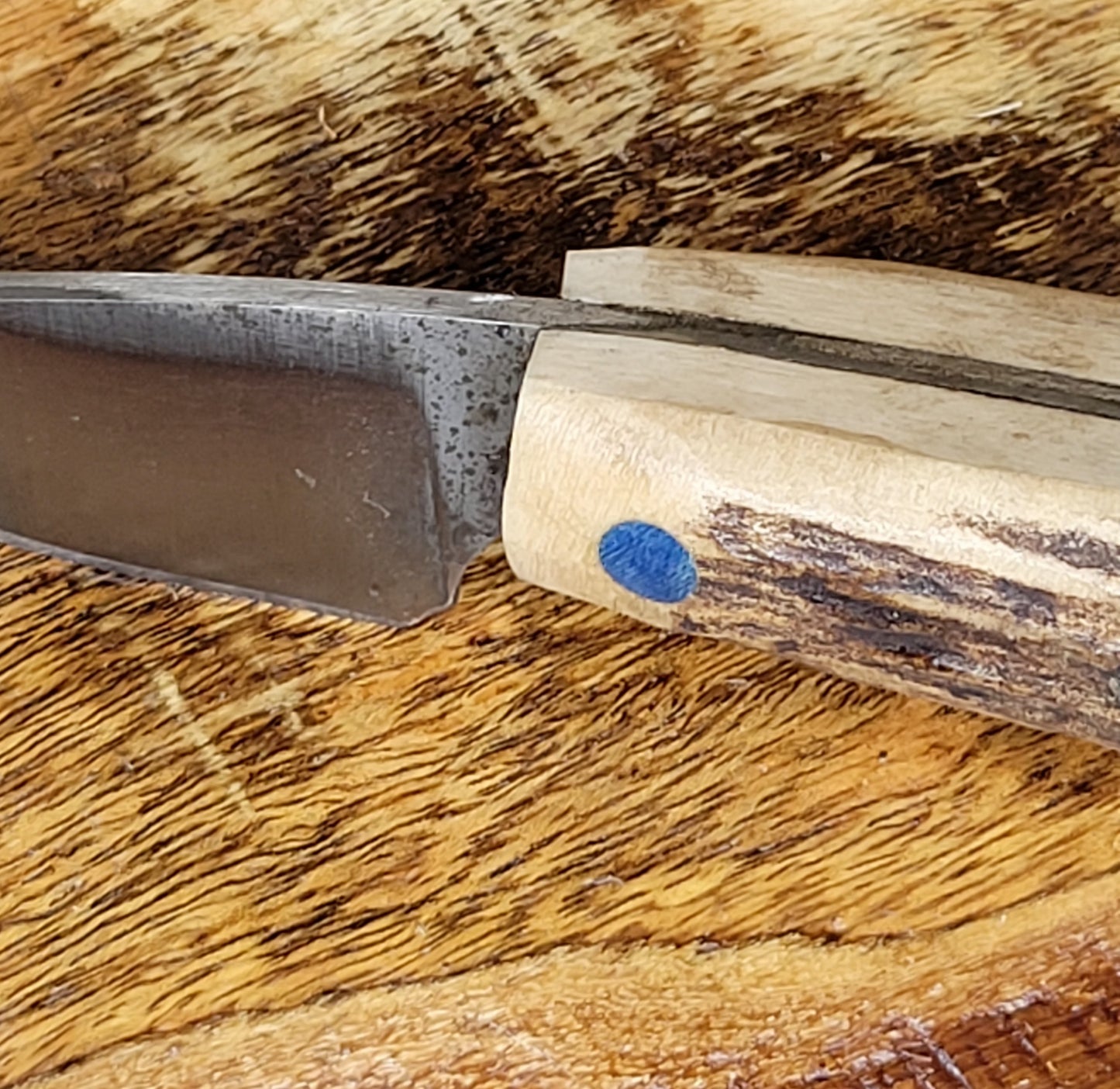 Cuchillo C23 Cuerno De Venado
