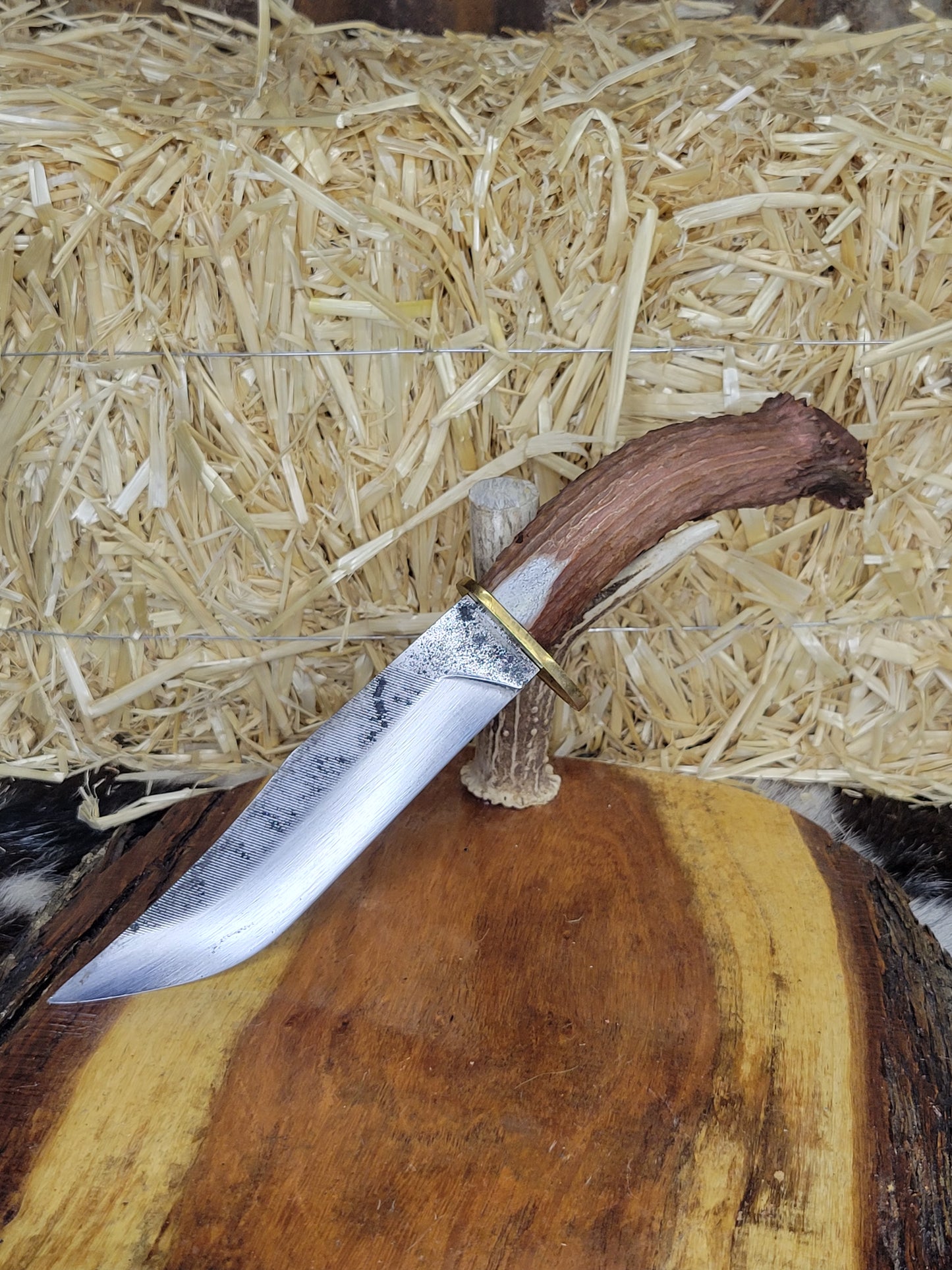 Cuchillo Cuerno De Venado Con Roseta