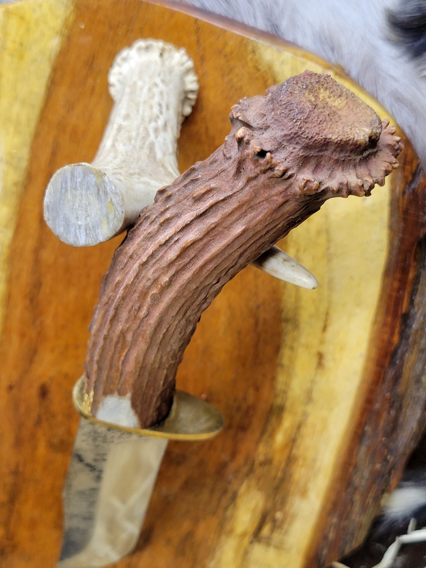 Cuchillo Cuerno De Venado Con Roseta