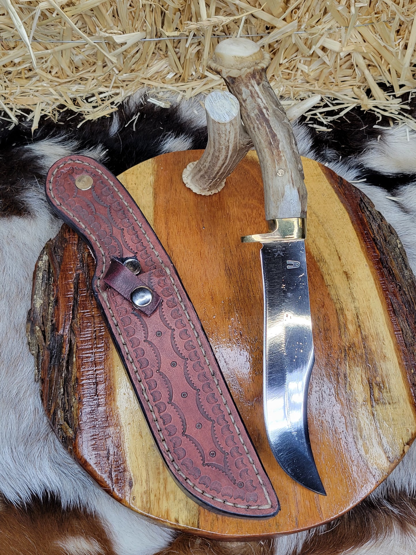 Cuchillo Cuerno de Venado Tallado Aguila, Lobo y Oso 11