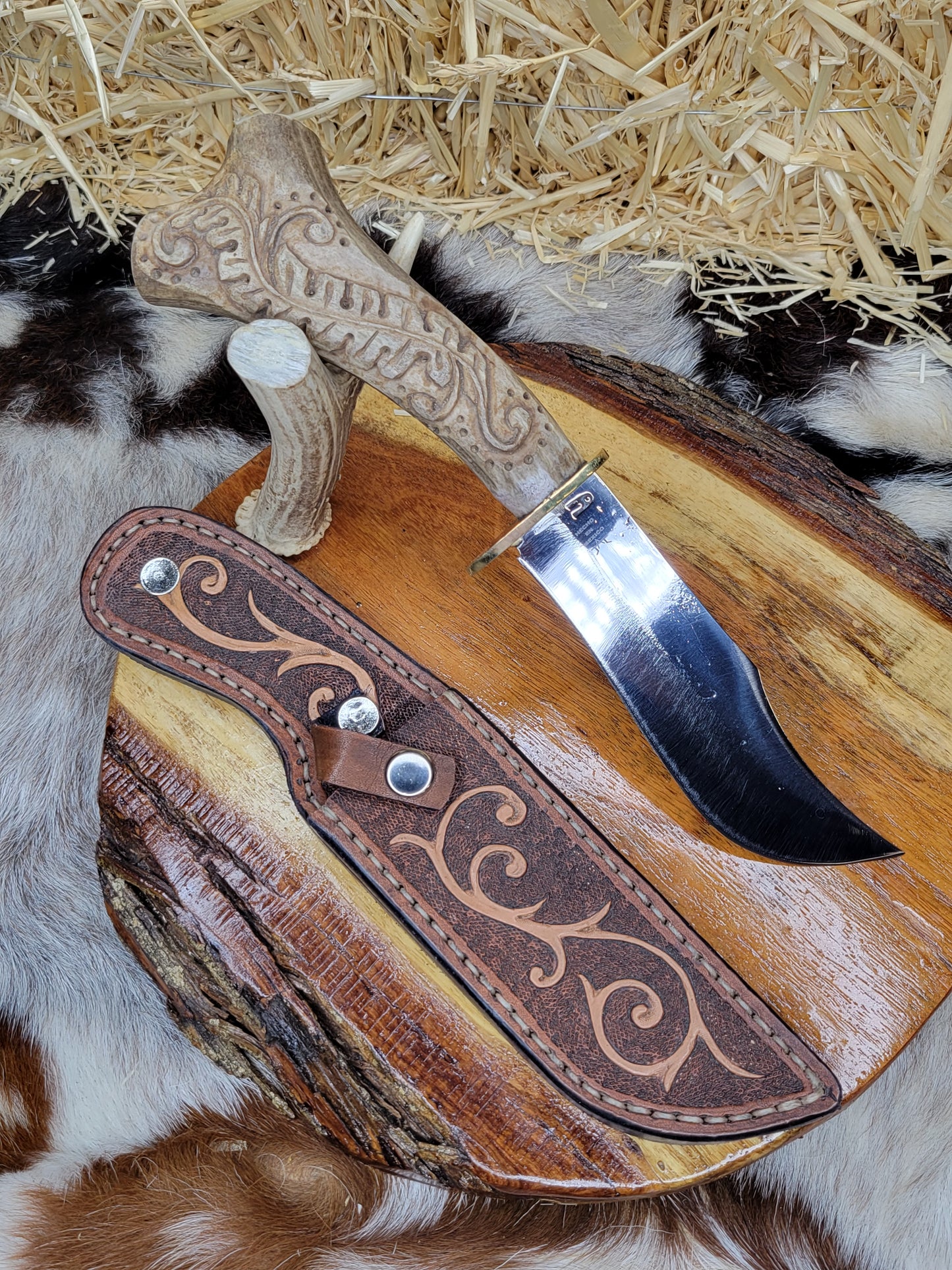 Cuchillo Cuerno De Venado 13