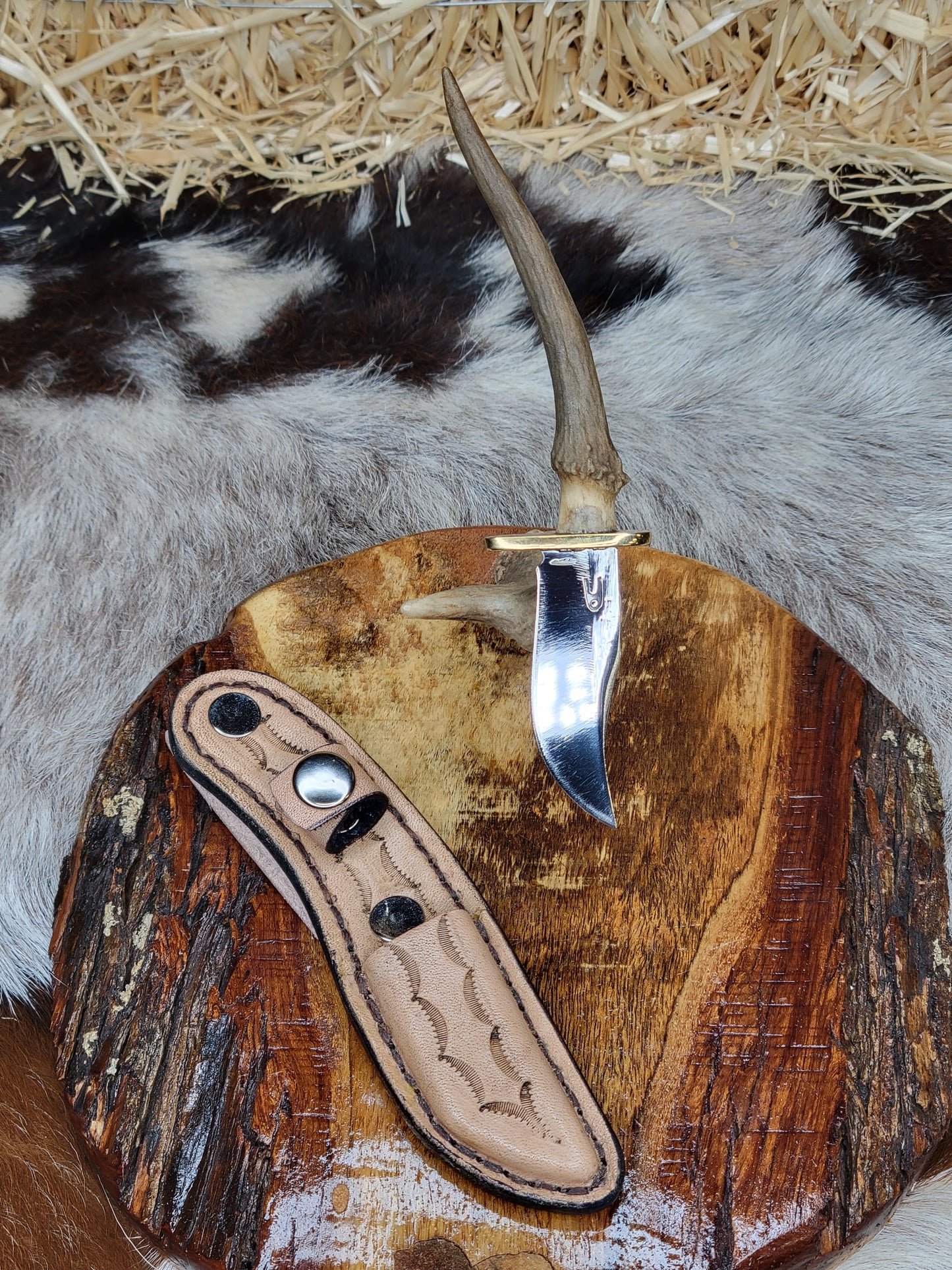 Cuchillo Pequeno Punta de Cuerno de Venado 49