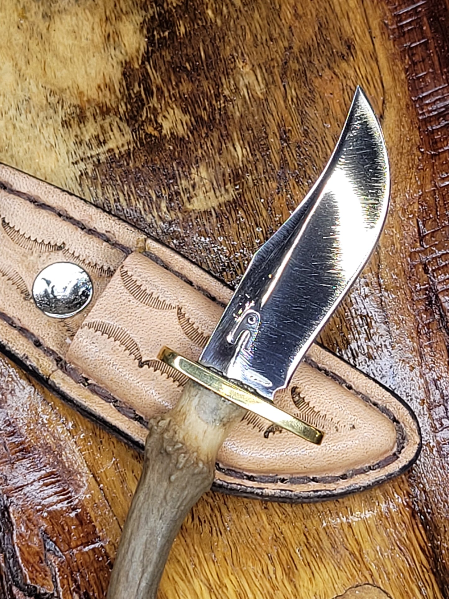 Cuchillo Pequeno Punta de Cuerno de Venado 49