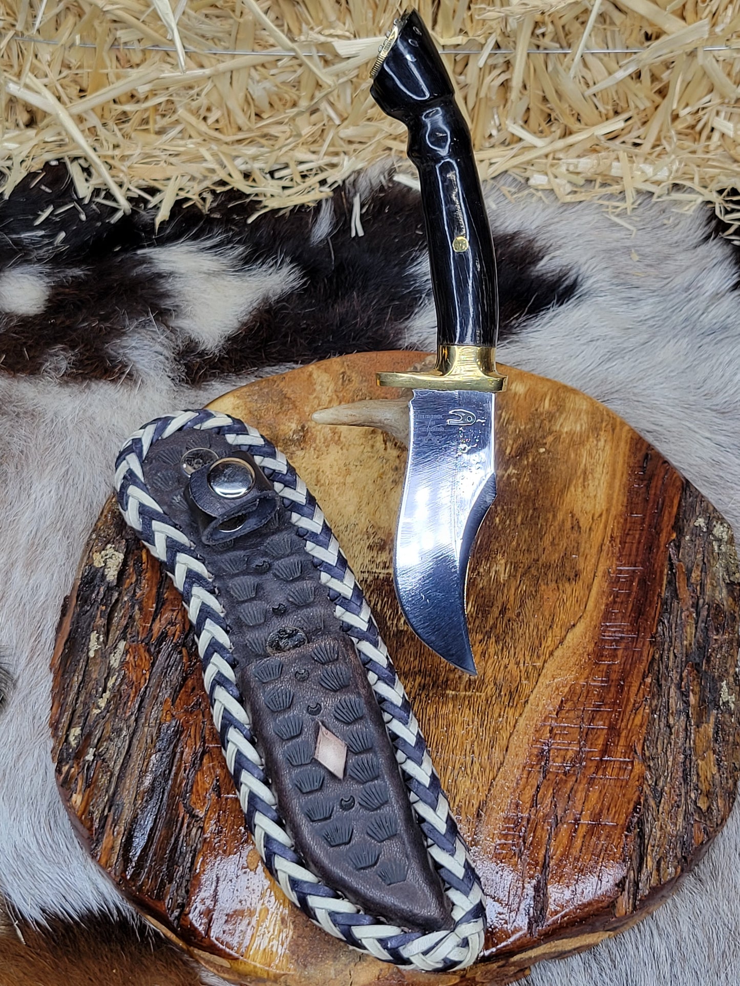 Cuchillos Pata De Caballo Cuerno de Toro de Lidia