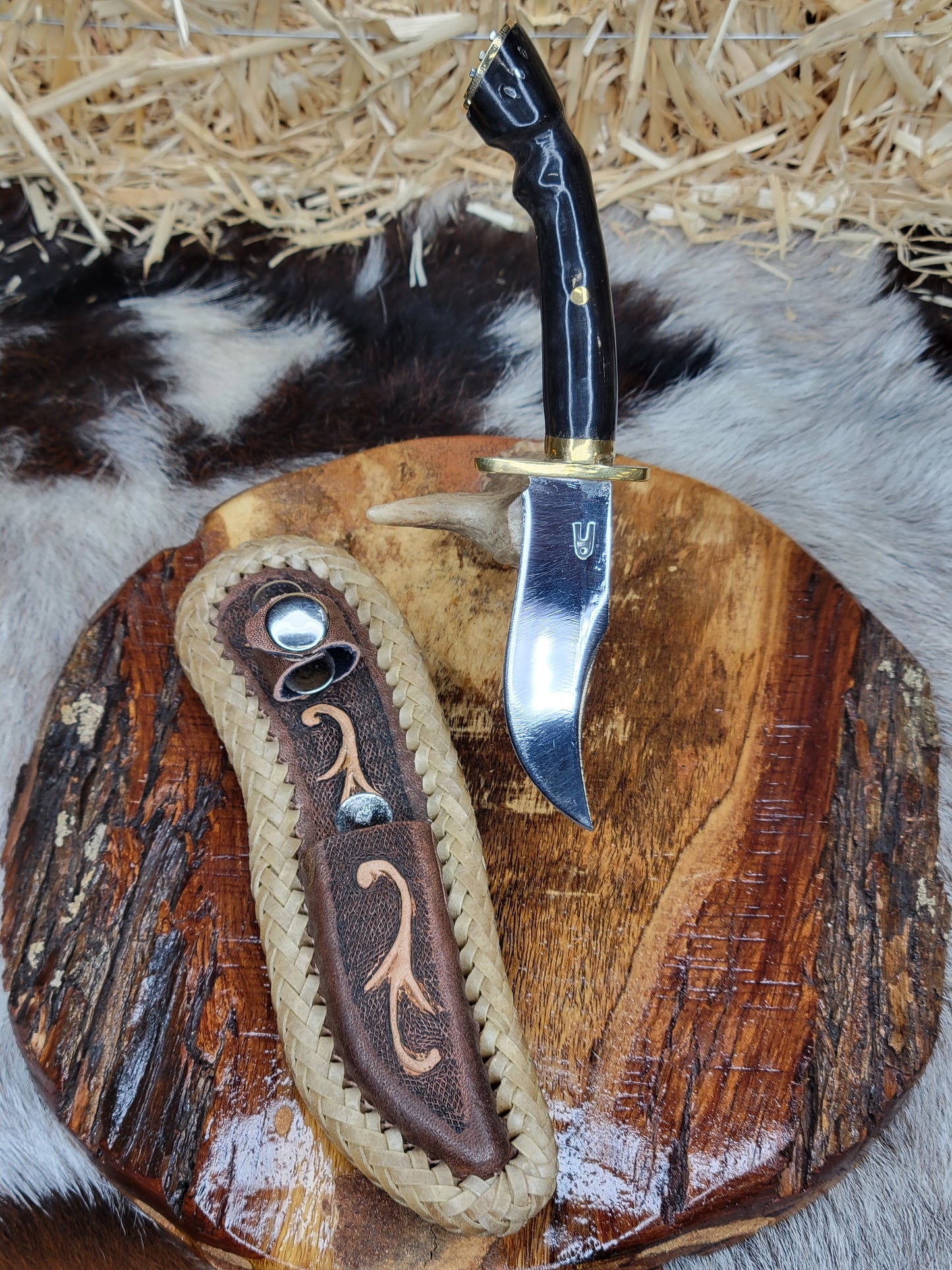 Cuchillos Pata De Caballo Cuerno de Toro de Lidia