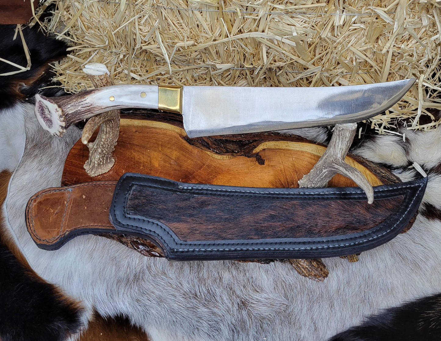 Filetero Cuerno de Venado CK14