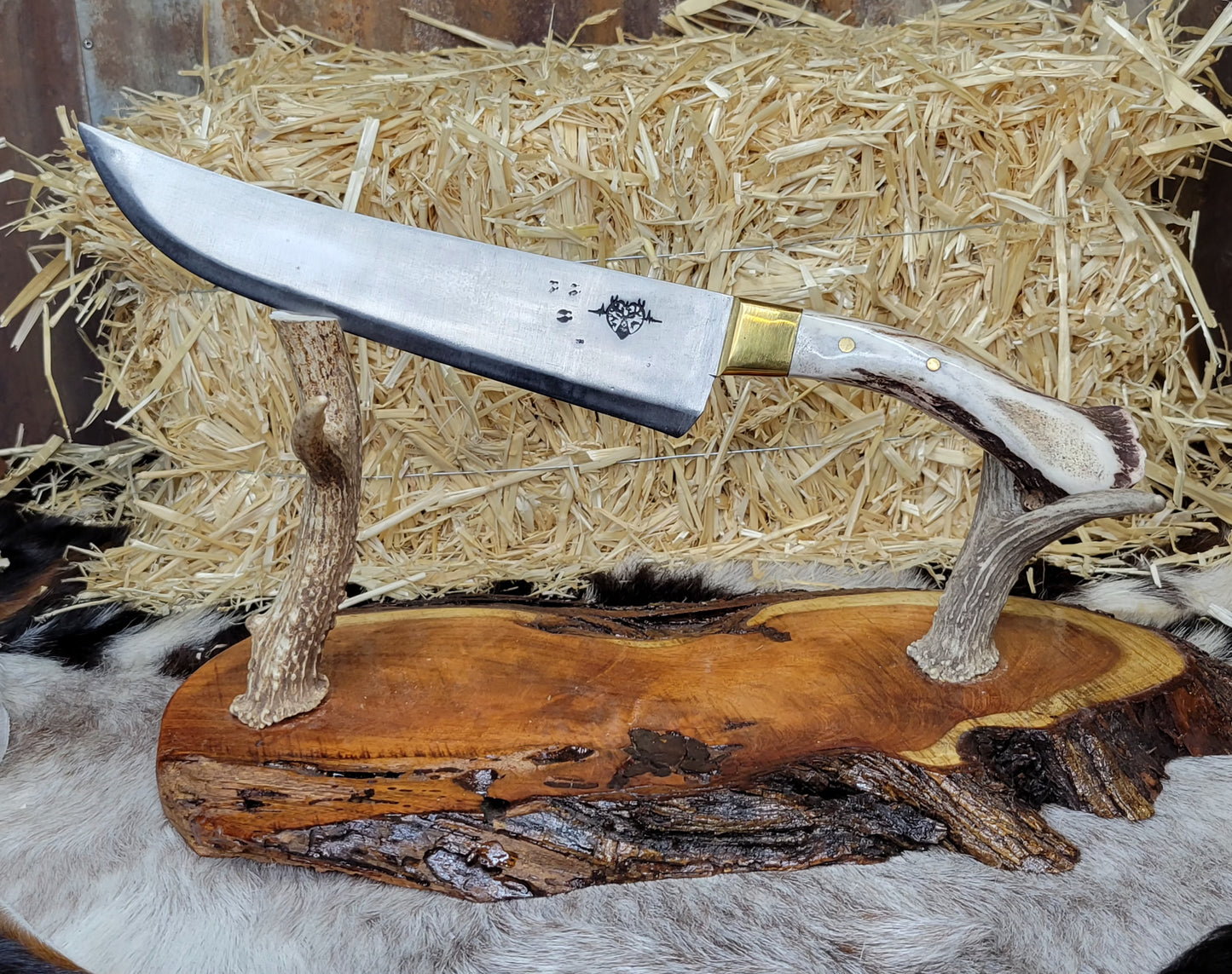Filetero Cuerno de Venado CK14