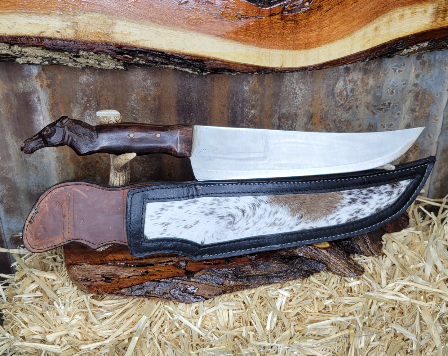 Filetero Caballo CK16