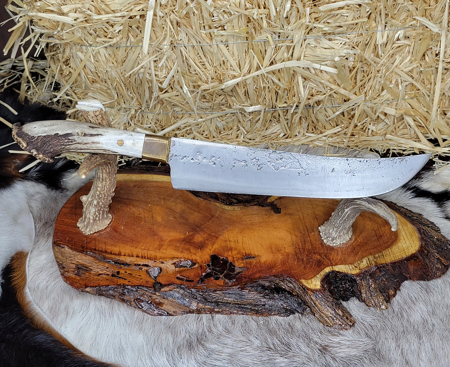 Filetero Cuerno de Venado CK27