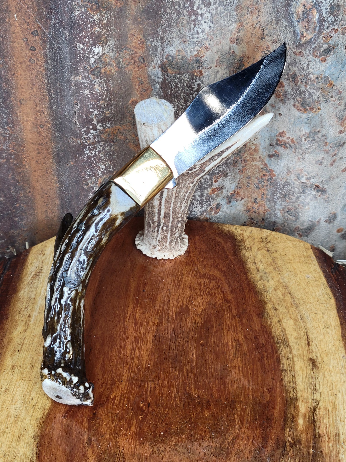 Navaja Cuerno De Venado NM 17