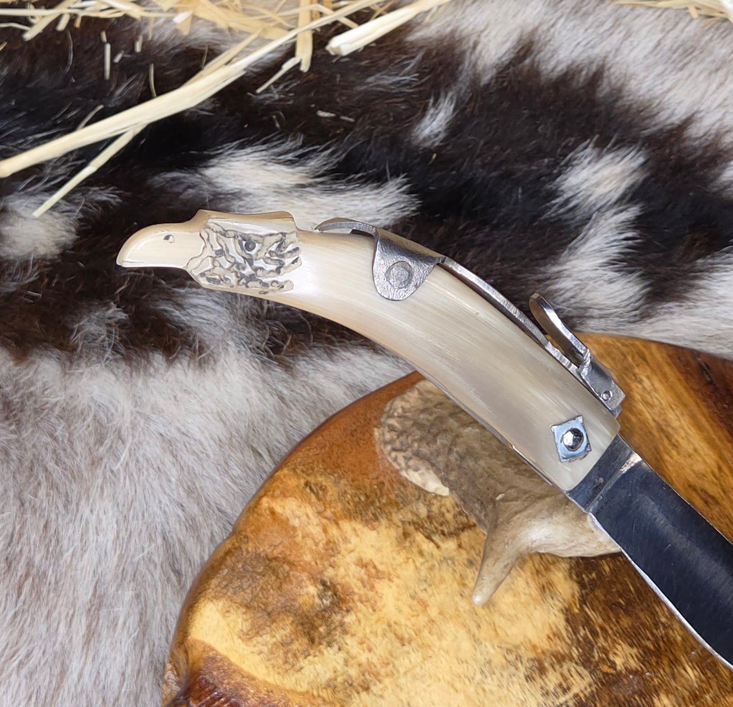 Navaja Cuerno de Toro Cabeza de Aguila N6