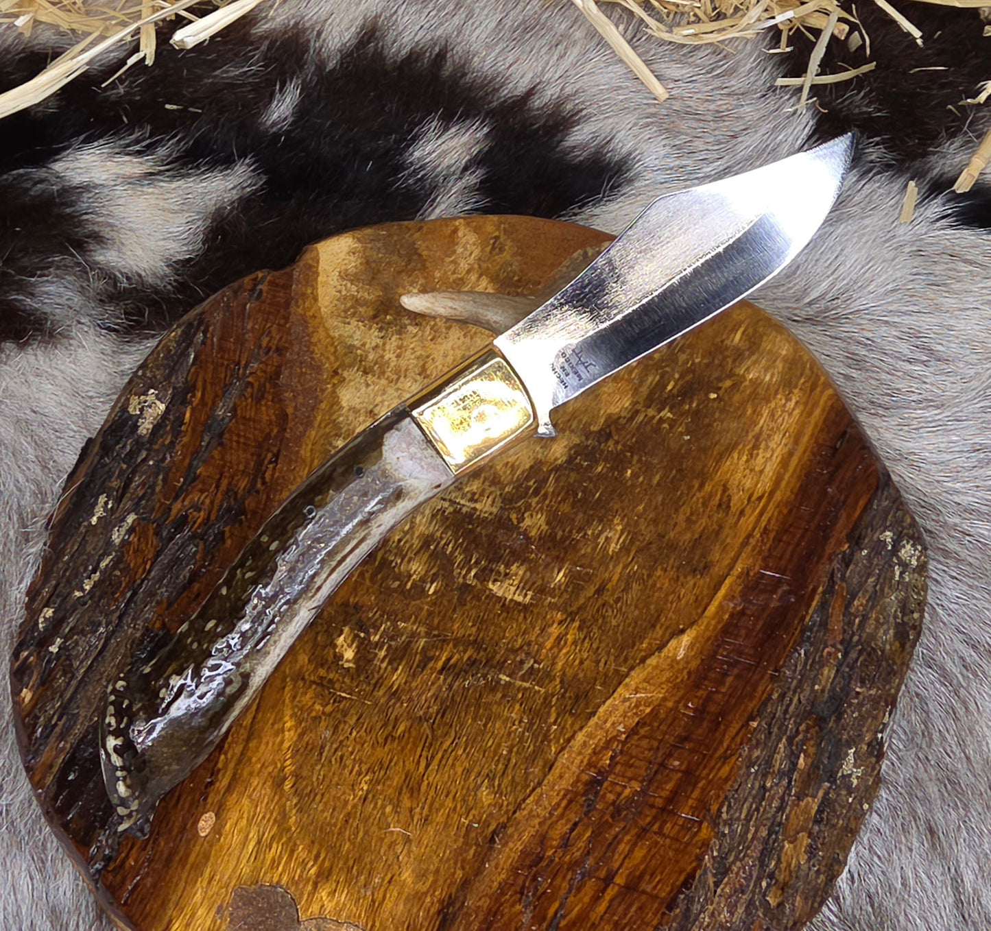 Navaja Cuerno de Venado con Roseta N12
