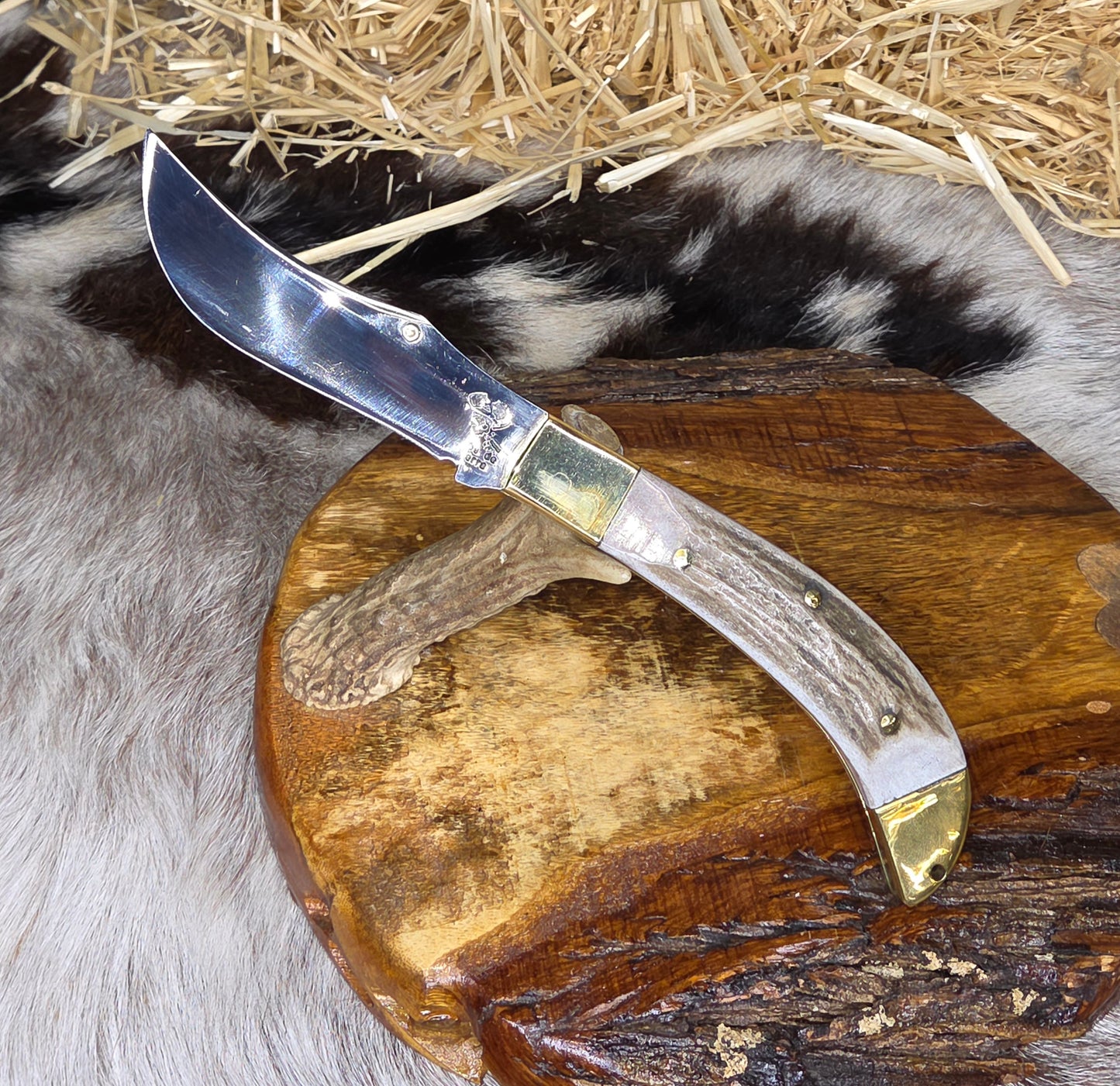 Navaja Cuerno de Venado N18