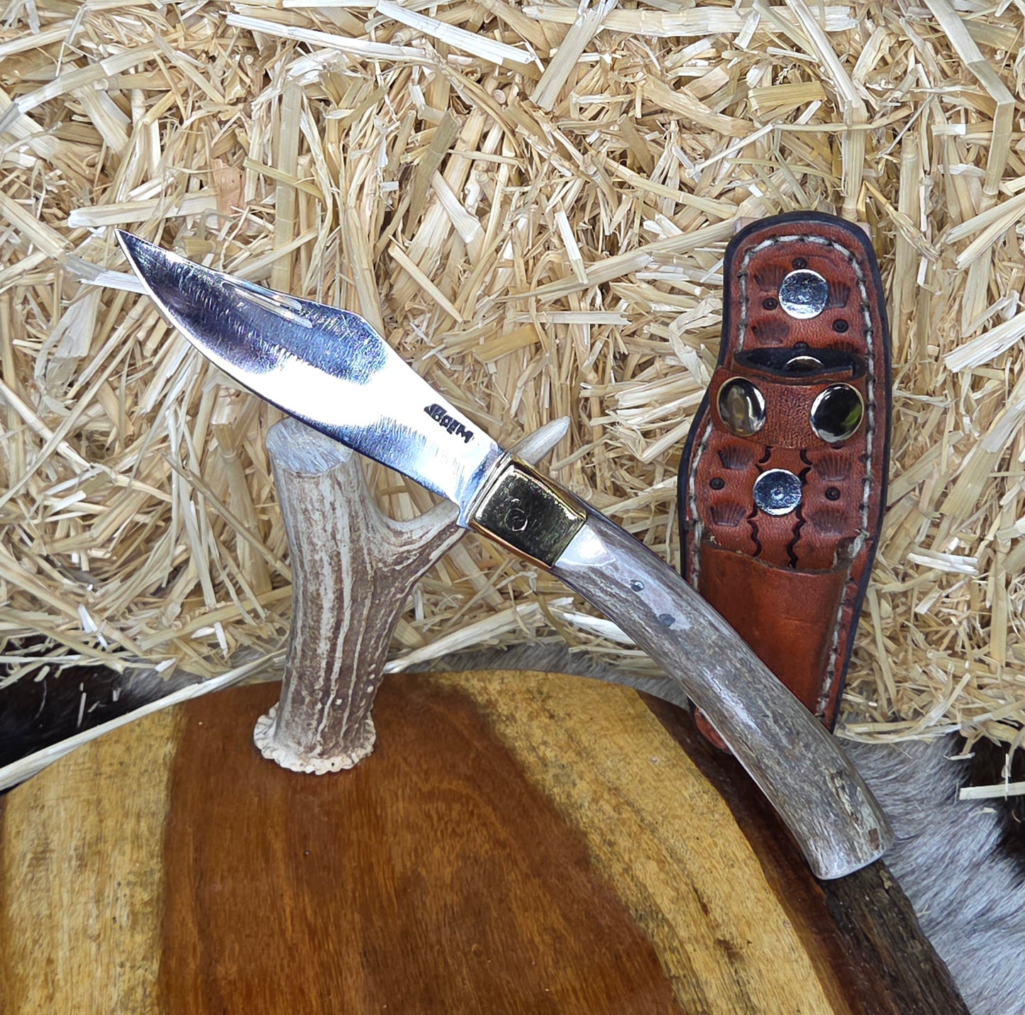 Navaja Cuerno de Venado N19