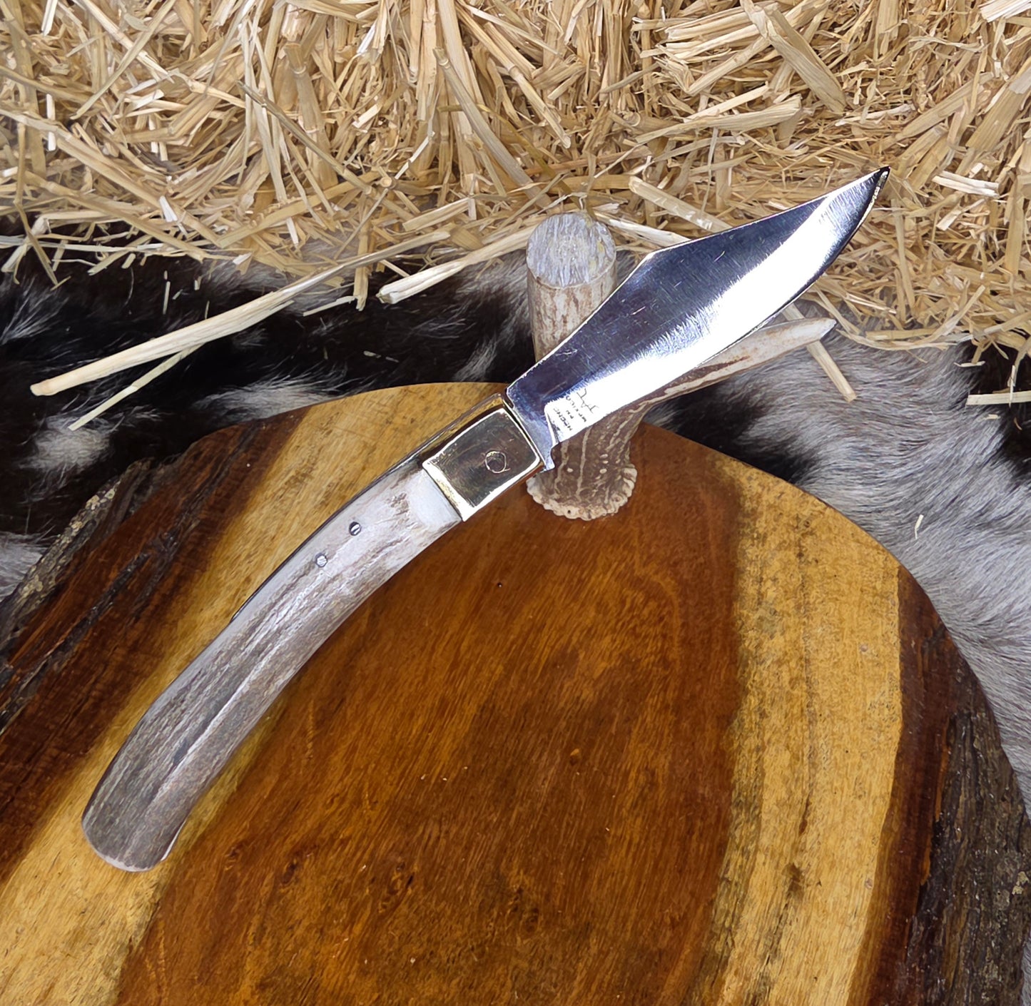 Navaja Cuerno de Venado N19