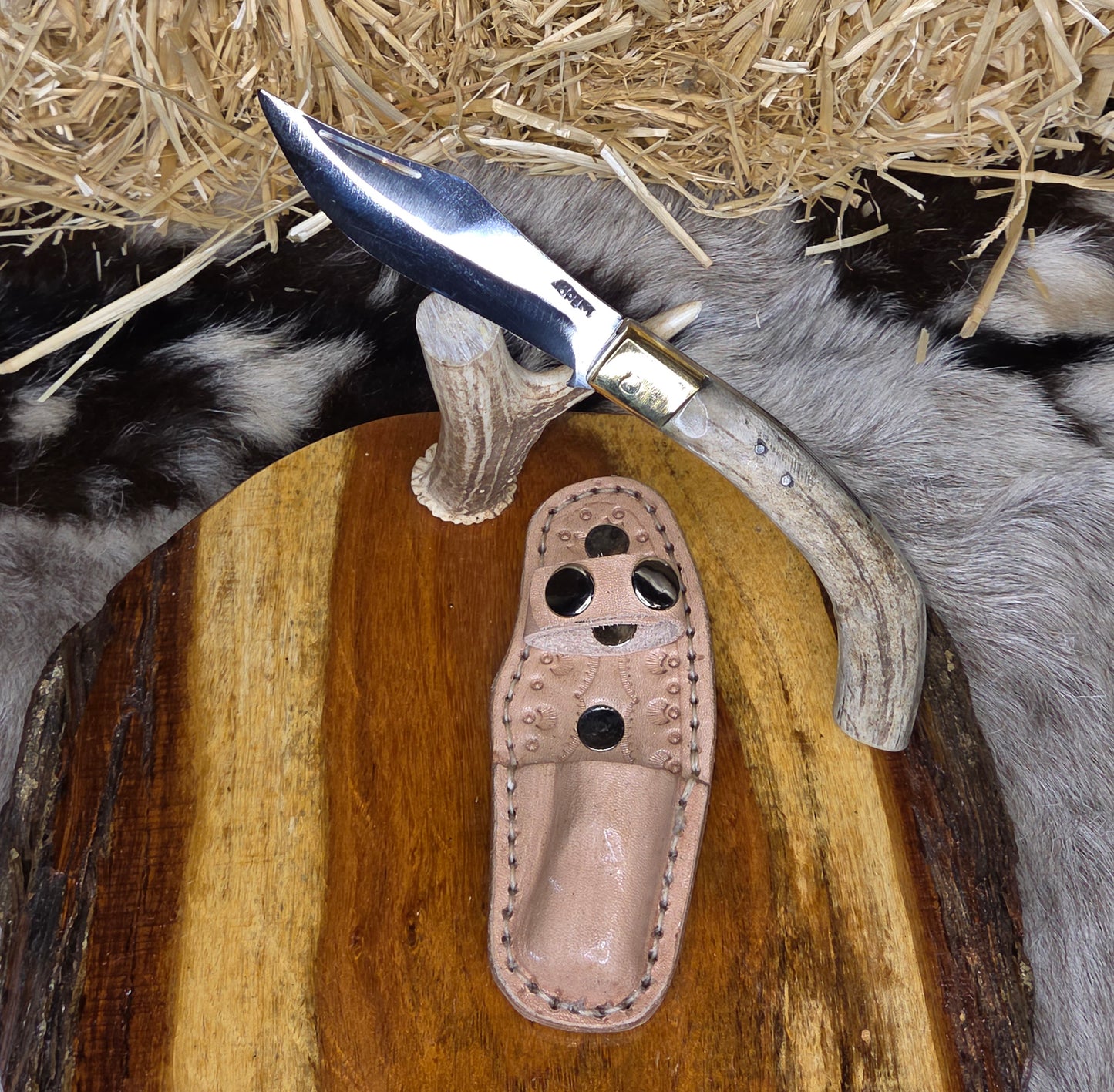Navaja Cuerno de Venado N22