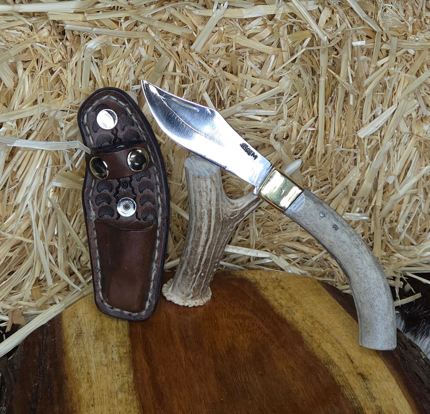 Navaja Cuerno de Venado N24