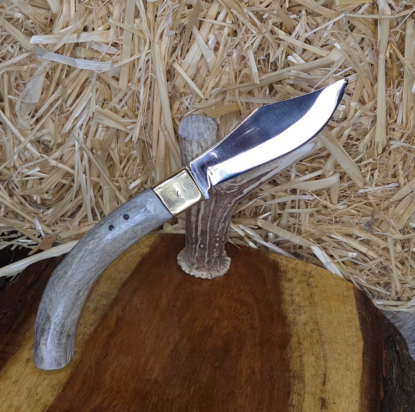 Navaja Cuerno de Venado N24