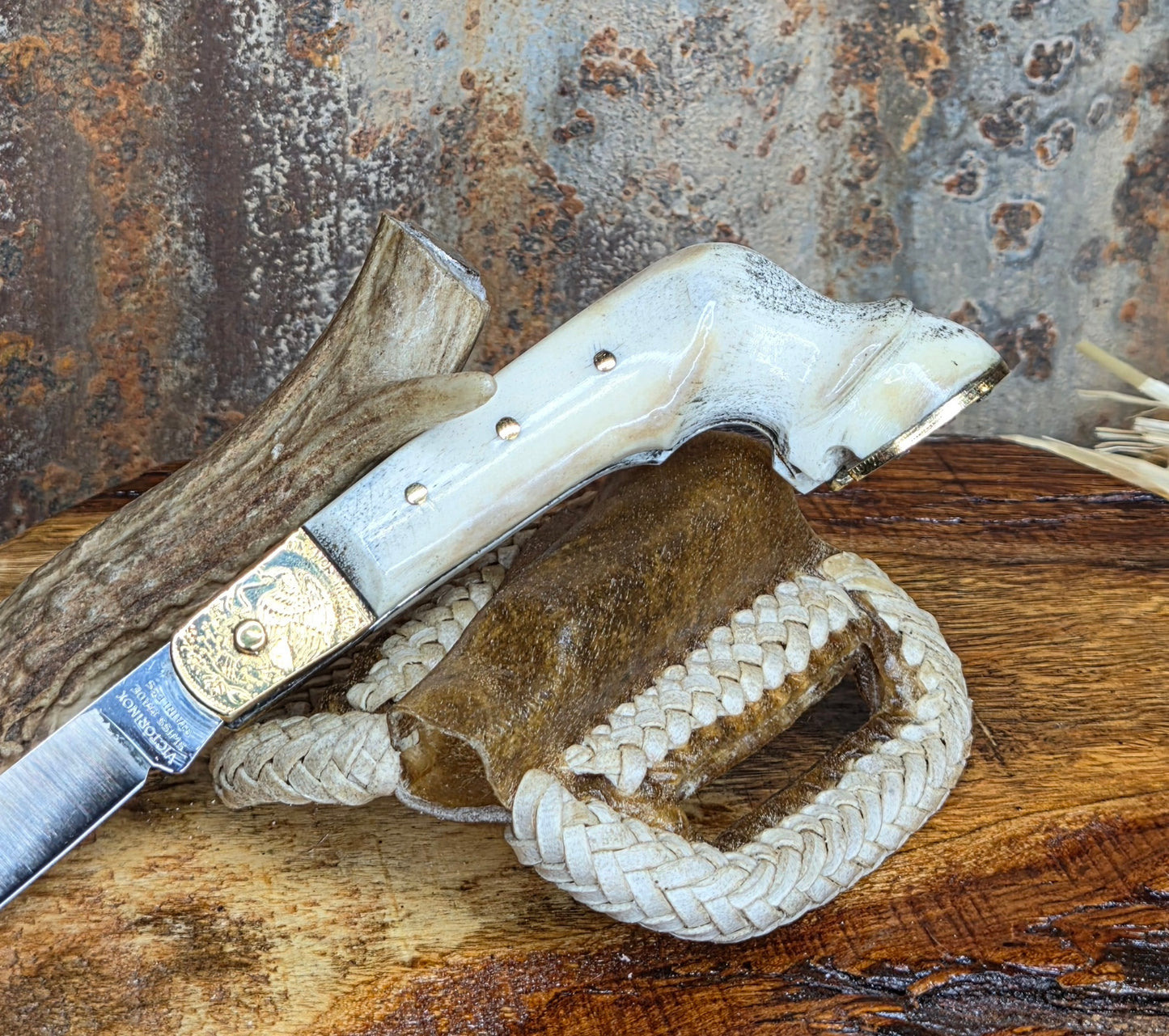 Navaja Pata de Caballo Victorinox K68